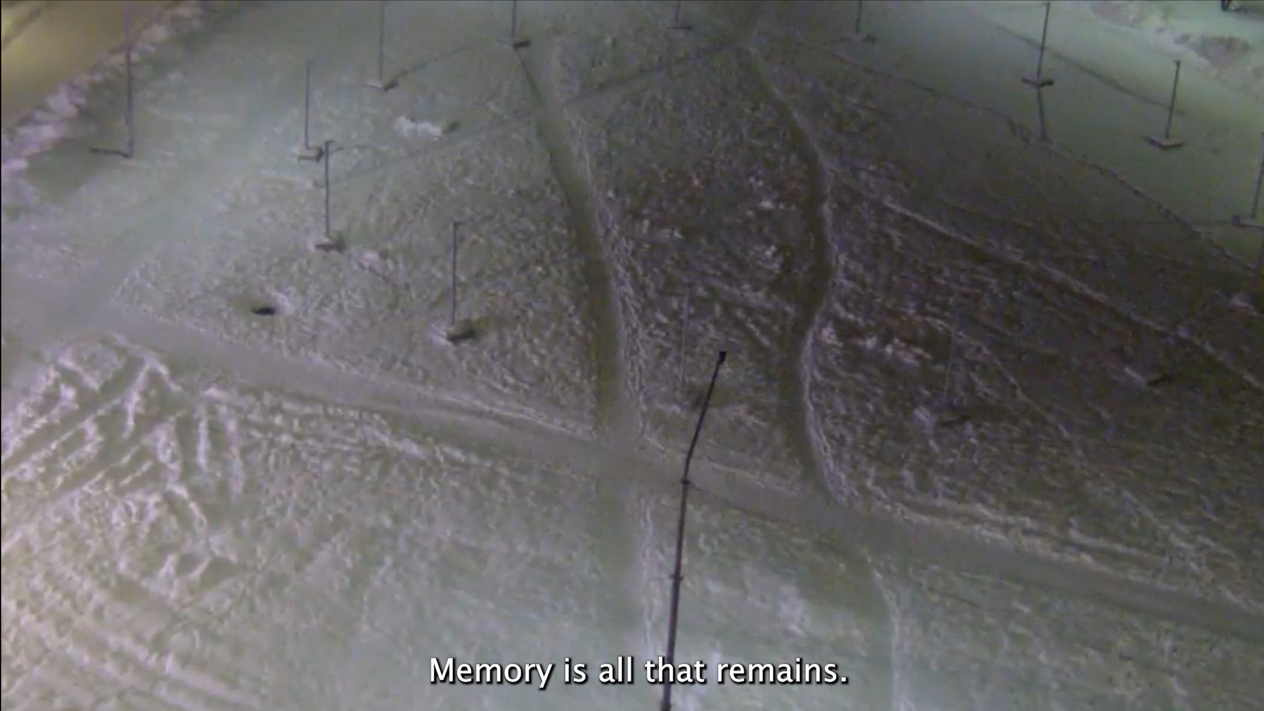 People just like You. Tatiana Kireicheva