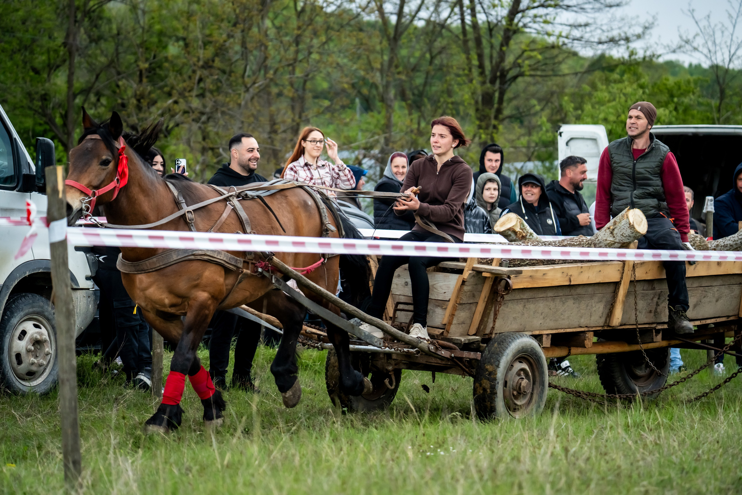 Concurs Ecvestru Vărbilău ediția a 4-a. Mihai Alexandra Events