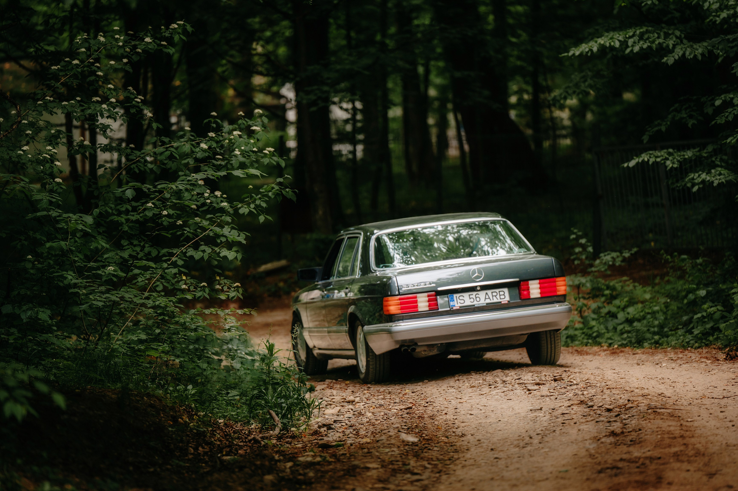 NUNTA Tudor si Stefana. Laurentiu Stefan StoryTeller