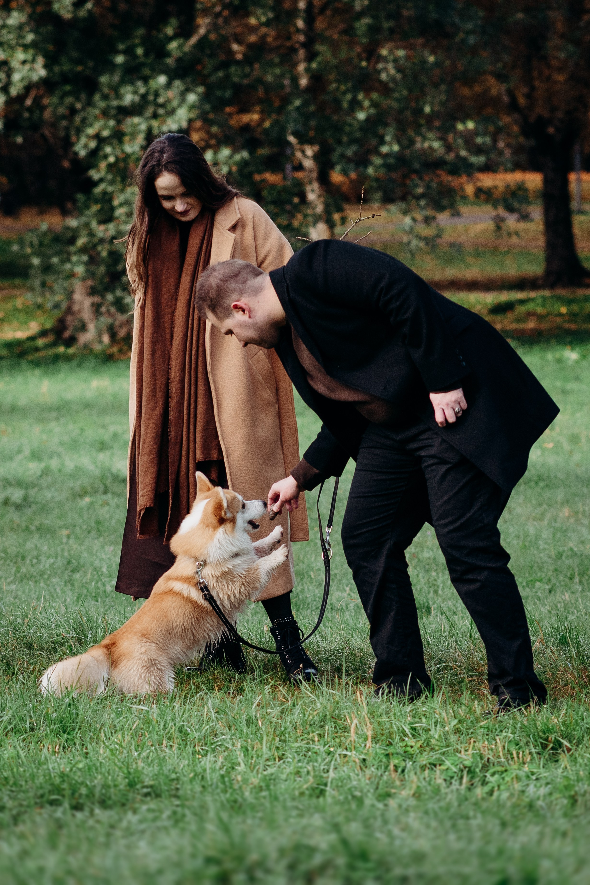Liisa, Alexander & Marsel. Фотограф-анималист в Таллинне, Катя Лайсаар