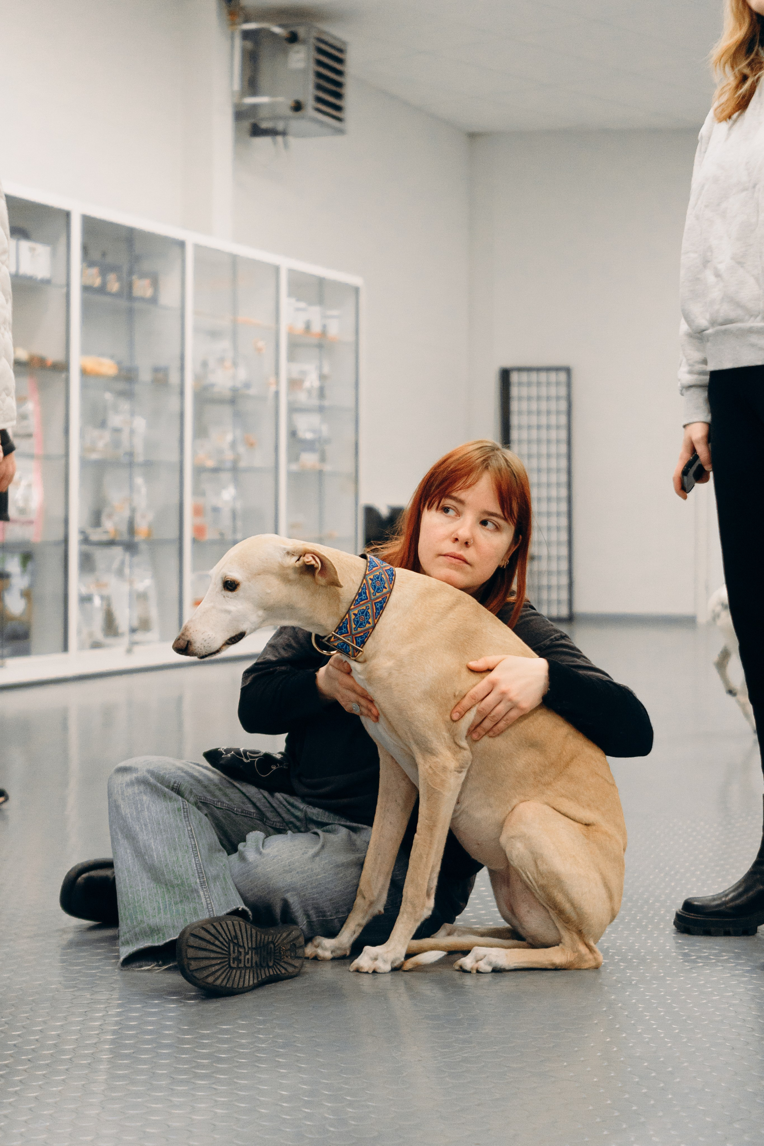 GalgoTreff / PetCity Rannamõisa, 13 apr. 2025. Kat Laisaar — Pet photographer in Tallinn