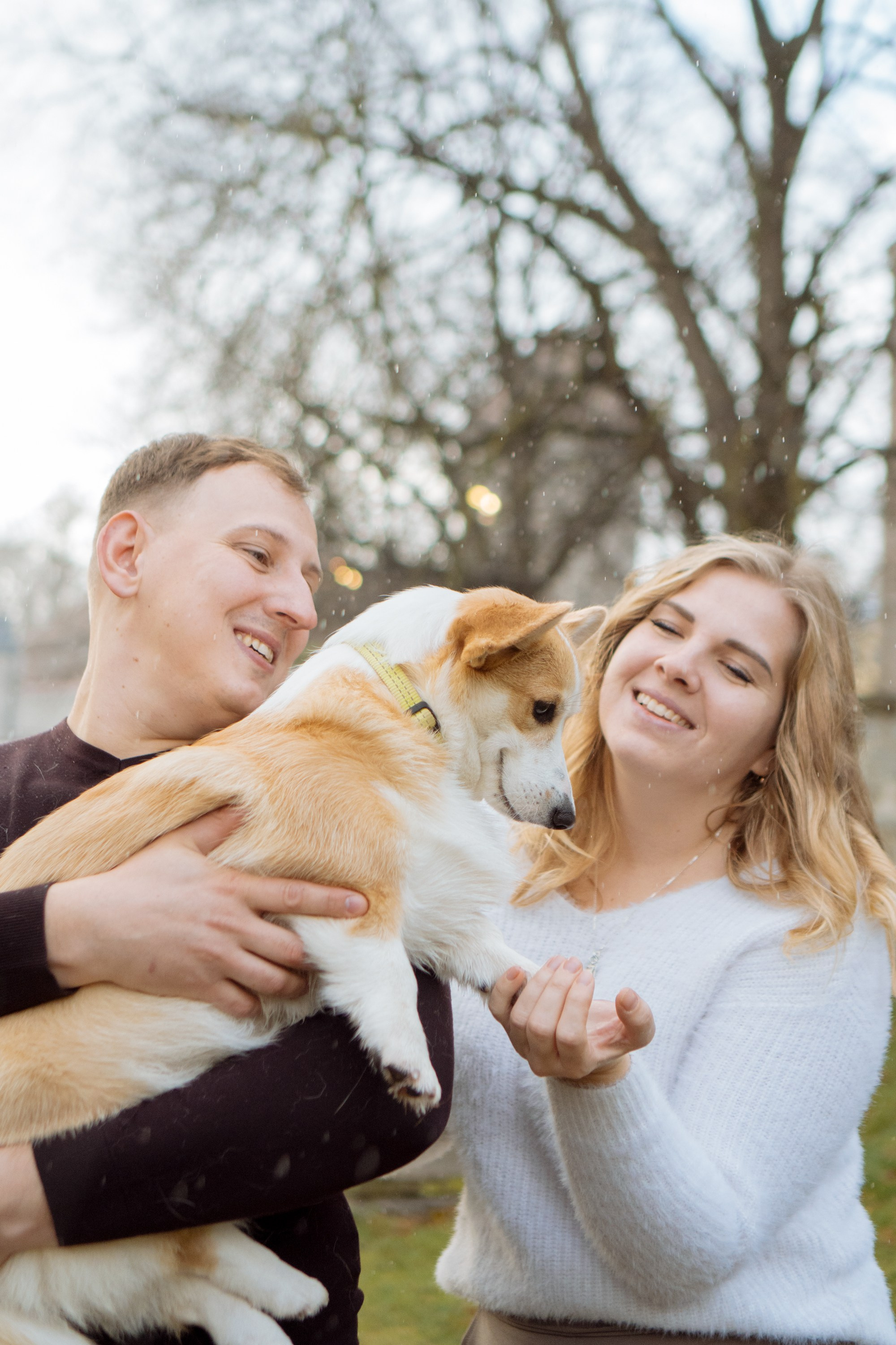 Maarika, Jegor and their Luna, Pembroke Welsh Corgi. Kat Laisaar — Pet photographer in Tallinn