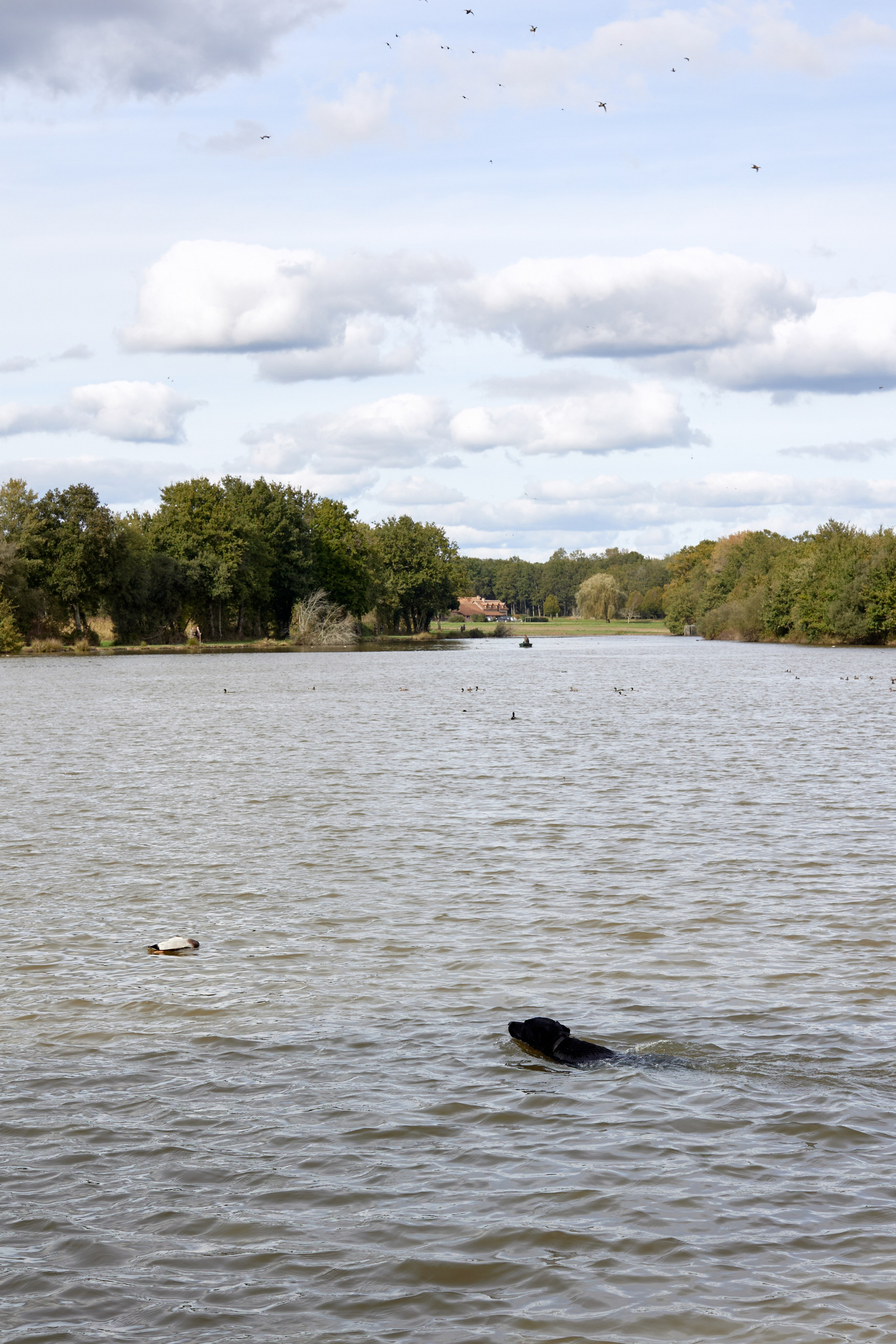 Hunting in France. Amazing photo session at a time convenient for you. Y