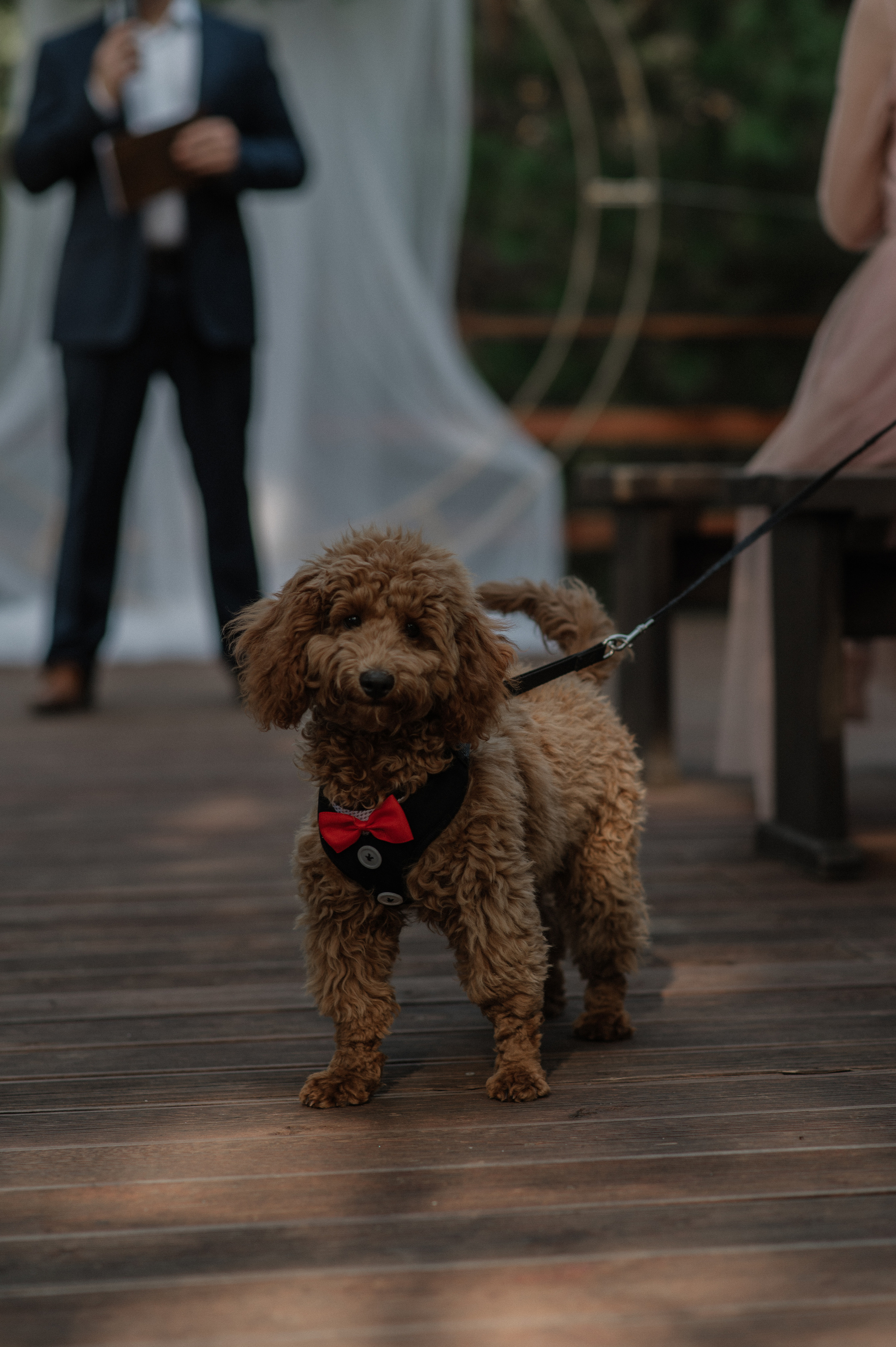 It’s like a sheet. Wedding and commercial photographer