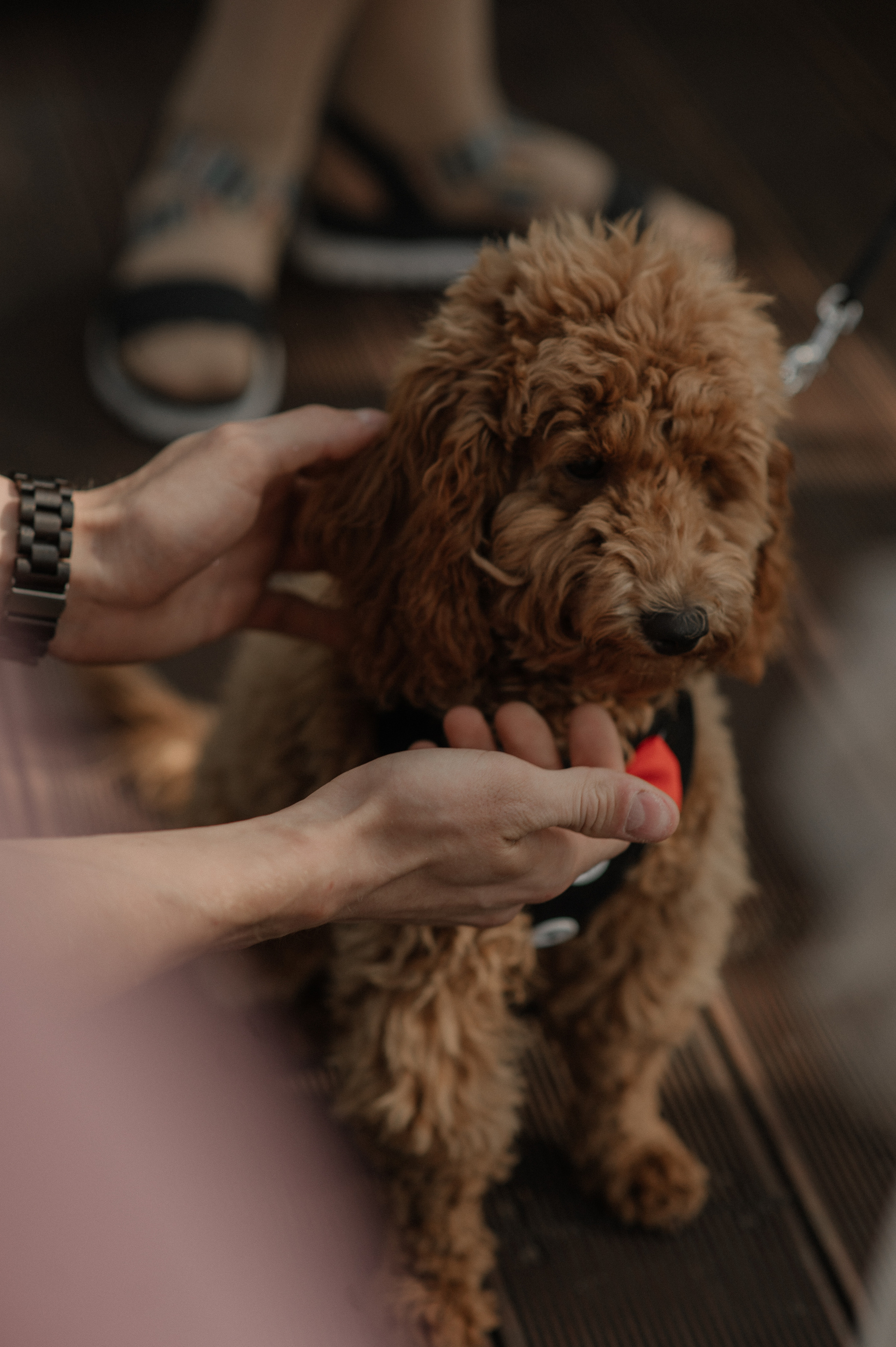 It’s like a sheet. Wedding and commercial photographer
