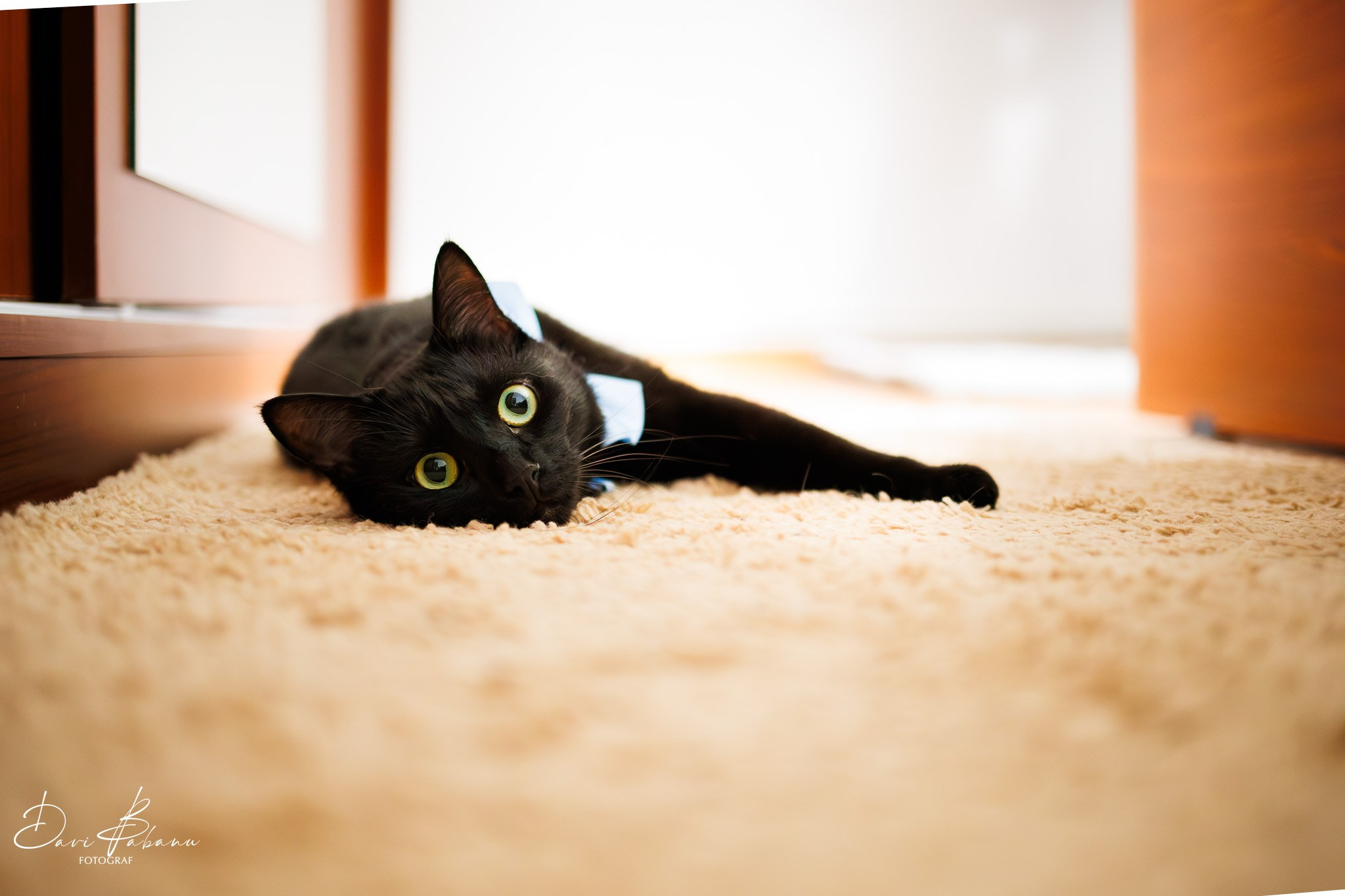 Andra & Mihai - Wedding Day