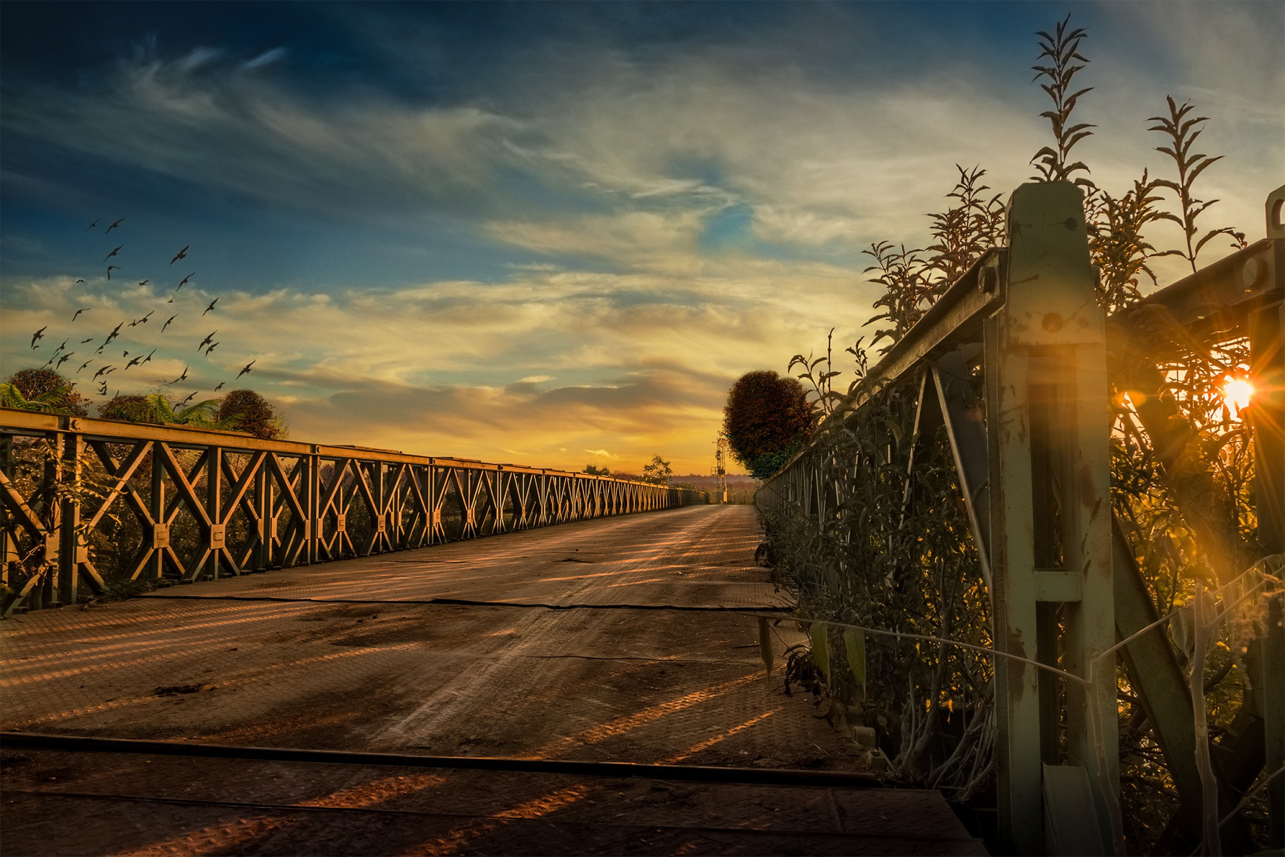 Pontonski Most, Bački Petrovac