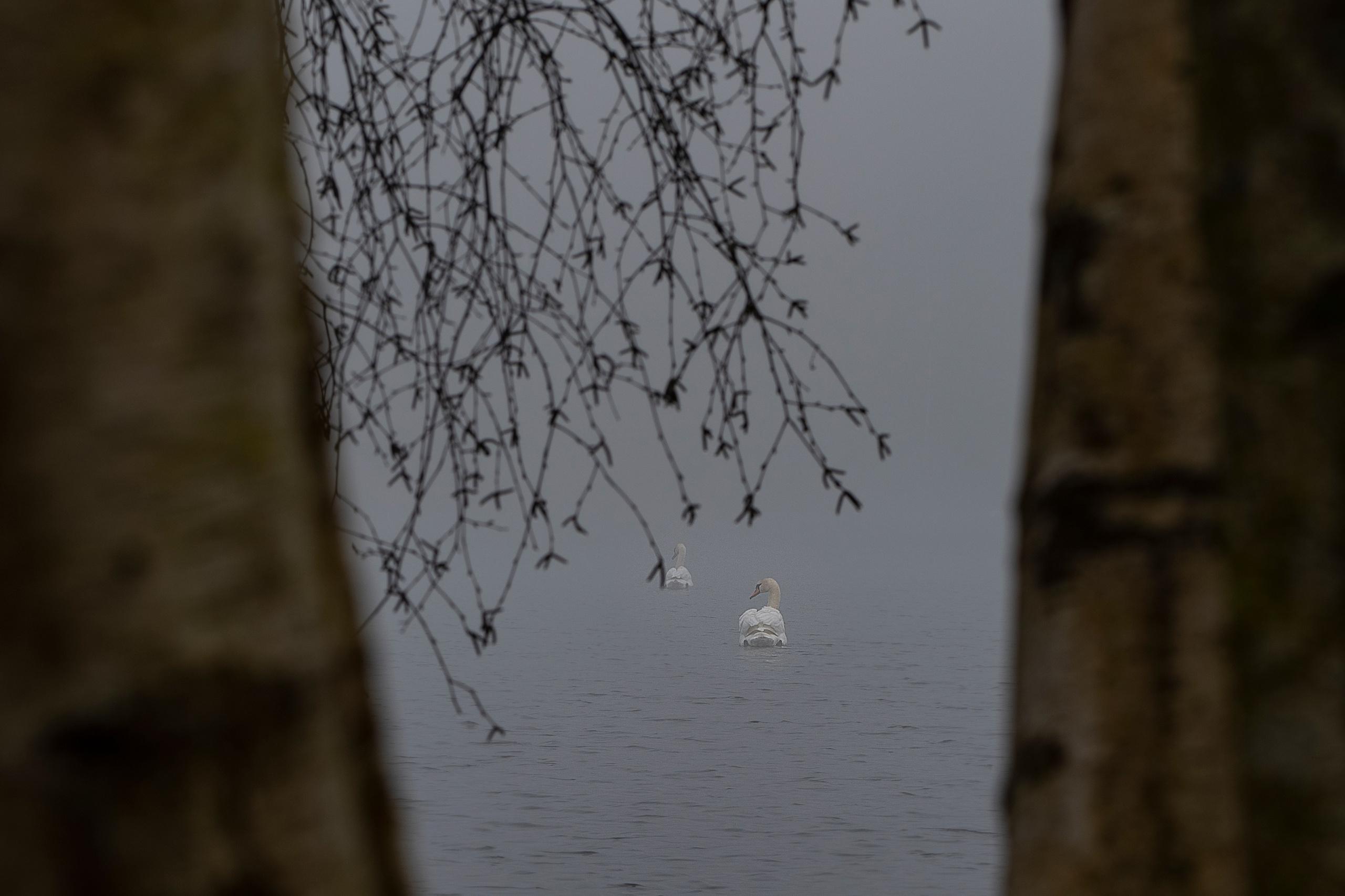 Paysages. Portrais créatifs de familles et individuels, Ile et Vilaine, France