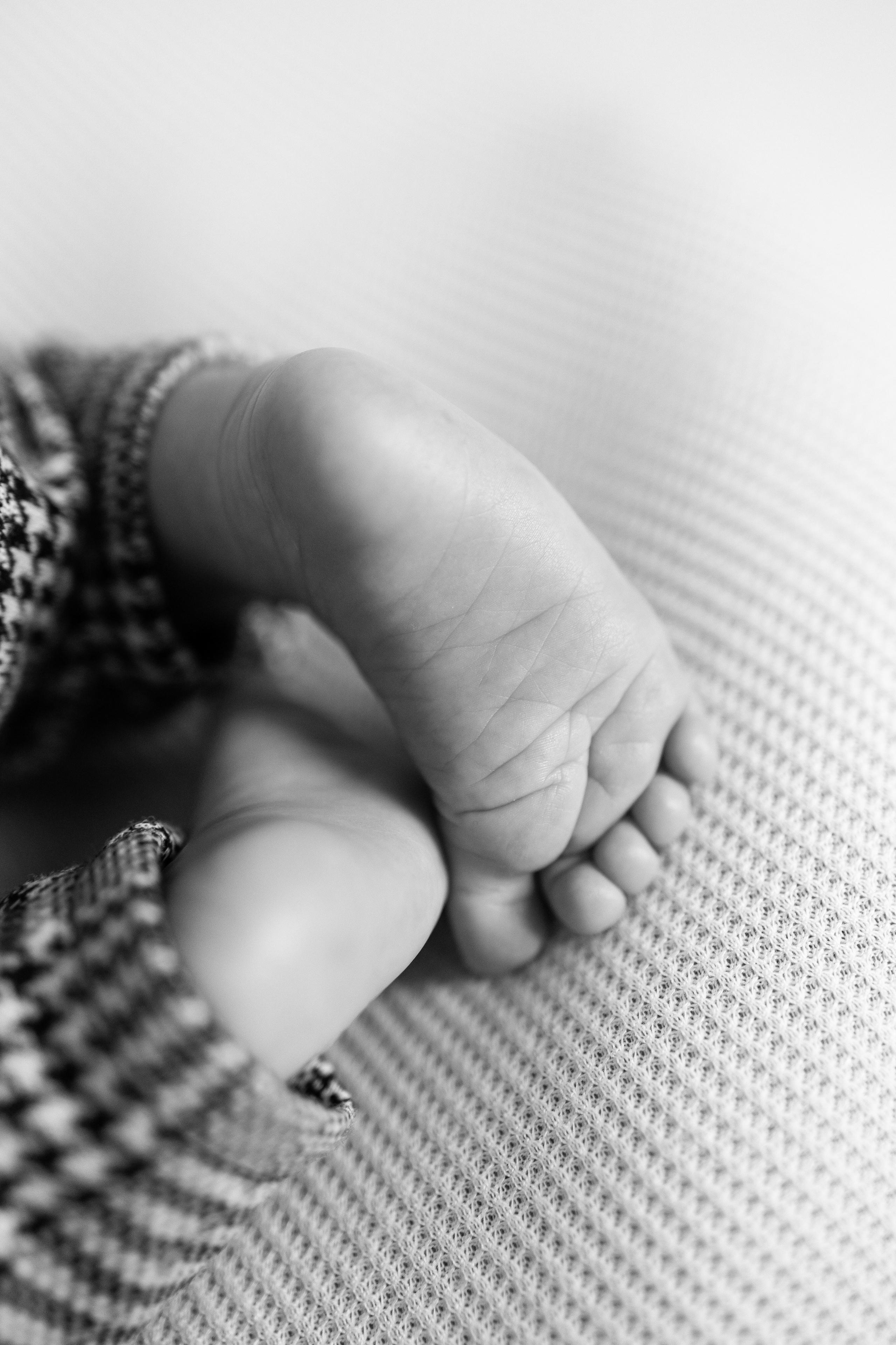 Newborn. Anaeliseevaphoto.com