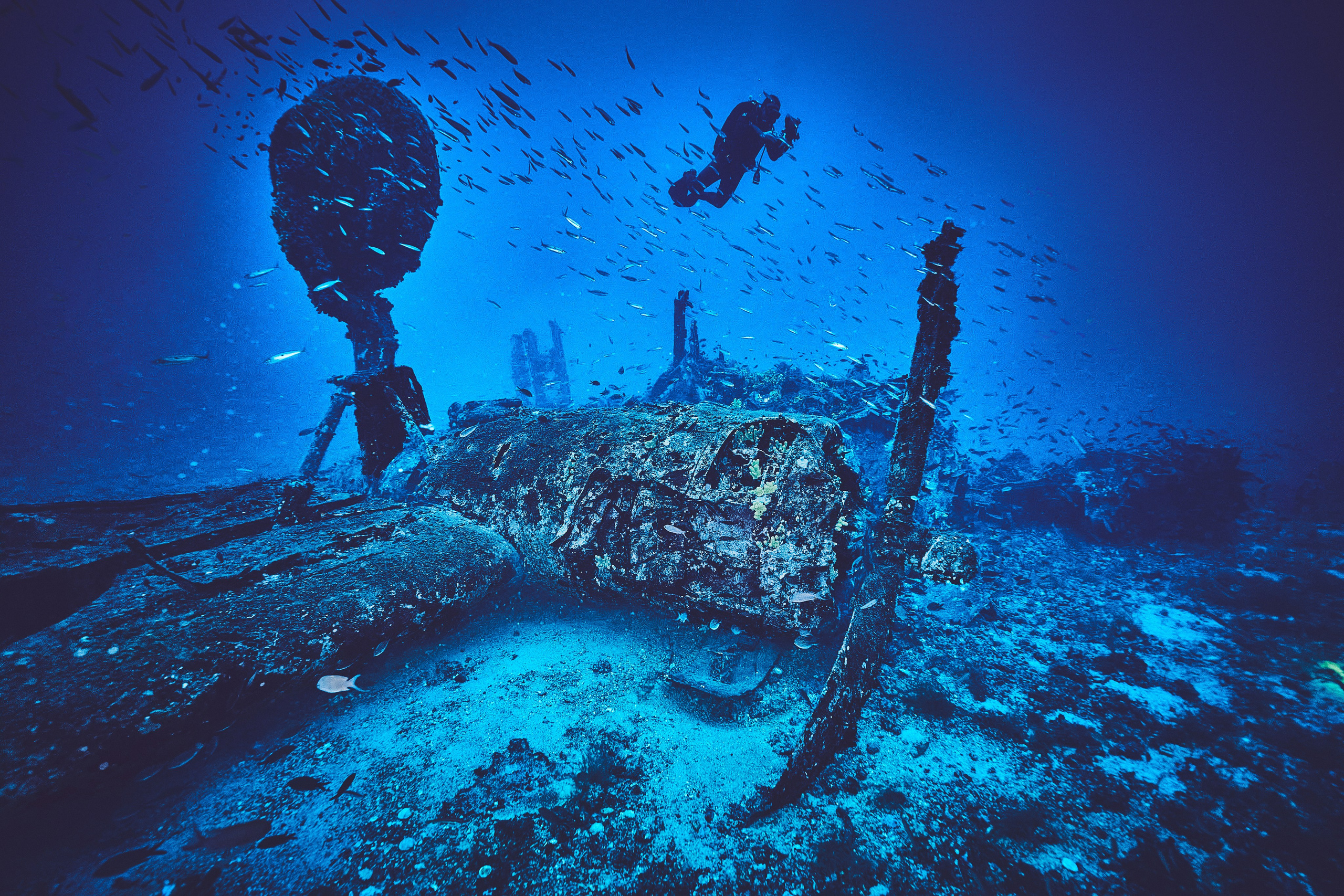Fotograf podwodny Andriej Szypilow. Wrak samolotu B-24 Liberator „Tulsamerican” spoczywa na dnie Adriatyku w pobliżu wysepki Veli Paržanj, położonej na południowy wschód od wyspy Vis. Samolot był ostatnim egzemplarzem wyprodukowanym w fabryce Douglas w Tulsie w stanie Oklahoma, a za jego powstanie zapłacili pracownicy fabryki i okoliczni mieszkańcy, nadając mu przezwisko „Tulsamerican” (ten egzemplarz - między innymi - zrzucał zaopatrzenie dla Powstania Warszawskiego).
