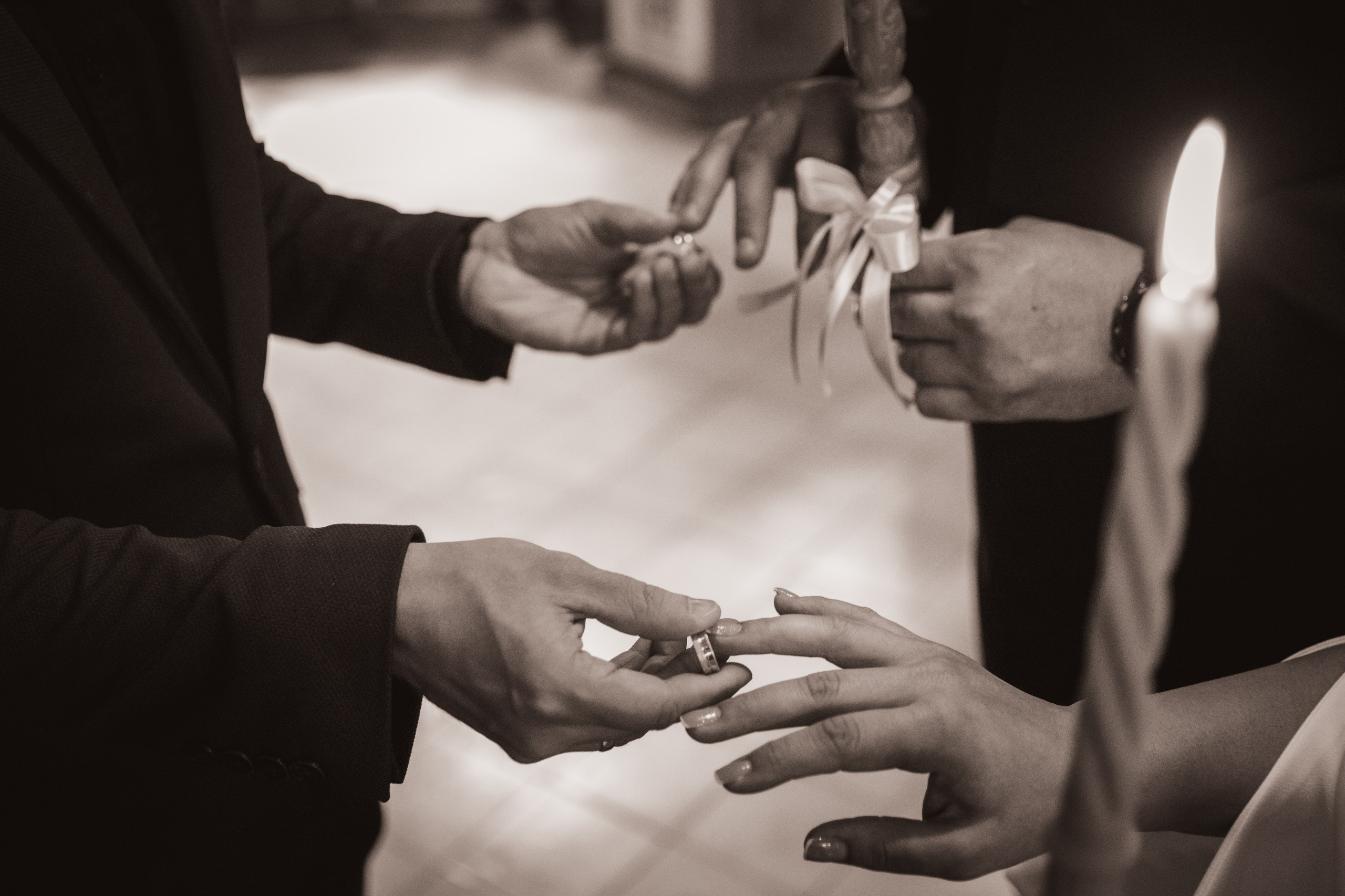 Mima & Bojan. Marko Tucić Photography | Fotograf Zrenjanin