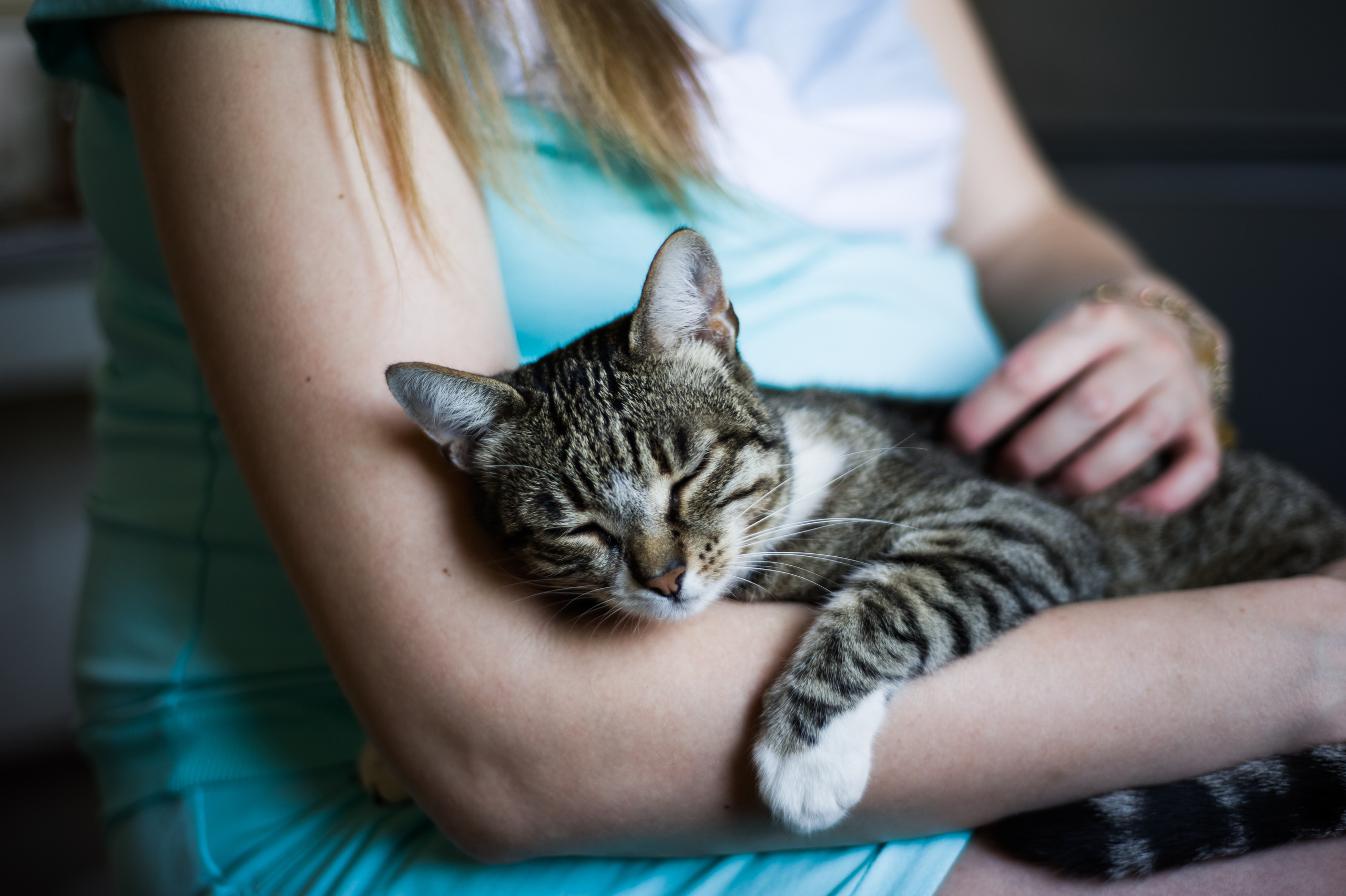 Домашняя фотосессия Саши и Ани. Aile fotoğrafçısı Olga Aksyonova, Donetsk ve Antalya’da