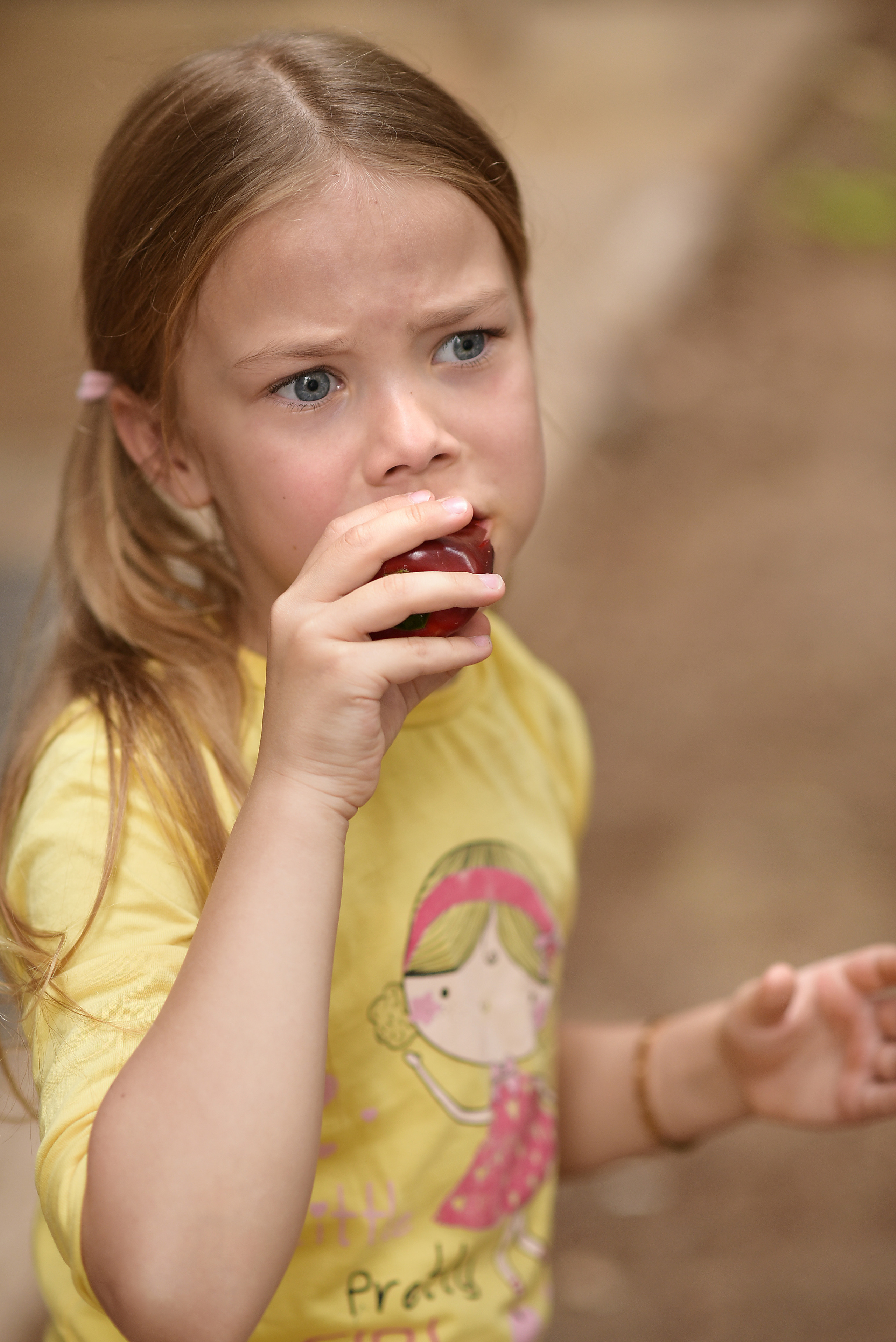 Семейное барбекю. Aile fotoğrafçısı Olga Aksyonova, Donetsk ve Antalya’da