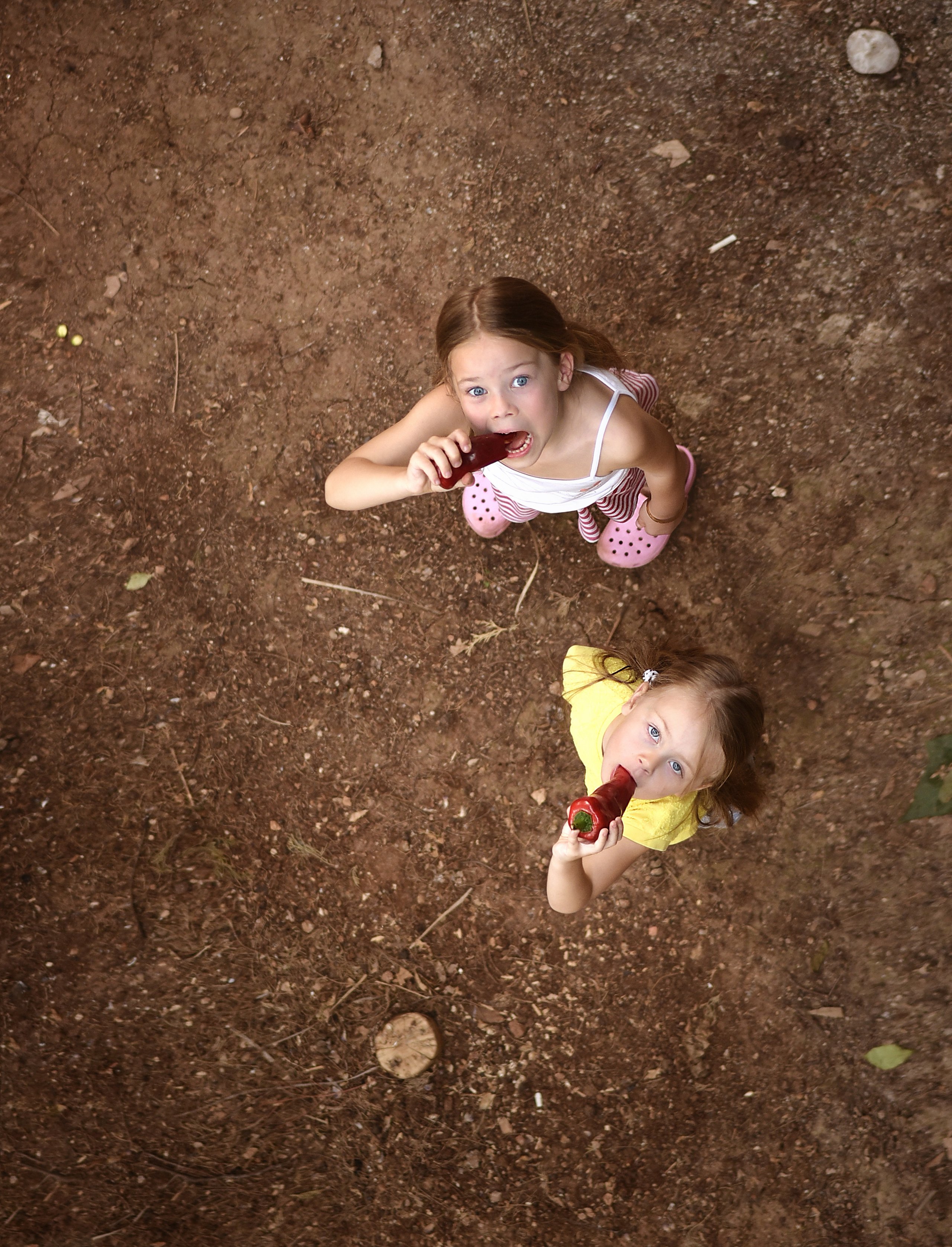 Семейное барбекю. Aile fotoğrafçısı Olga Aksyonova, Donetsk ve Antalya’da