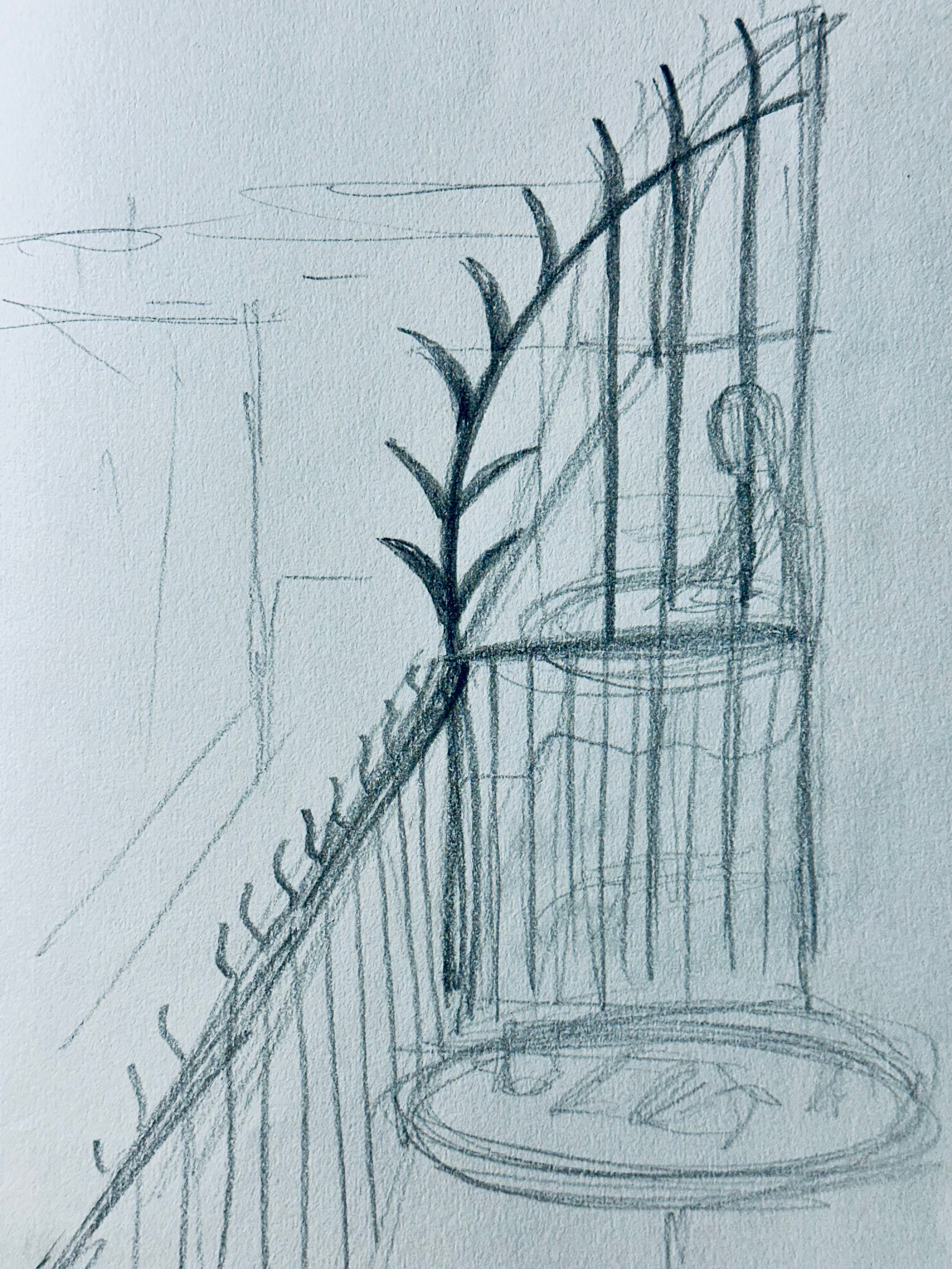 Sketches, Paris. Marina Antonova