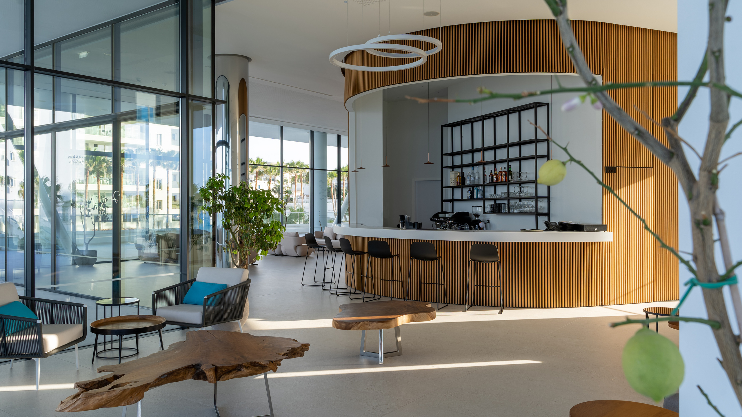 Flamingo Paradise — Cyprus. Photo & Videos