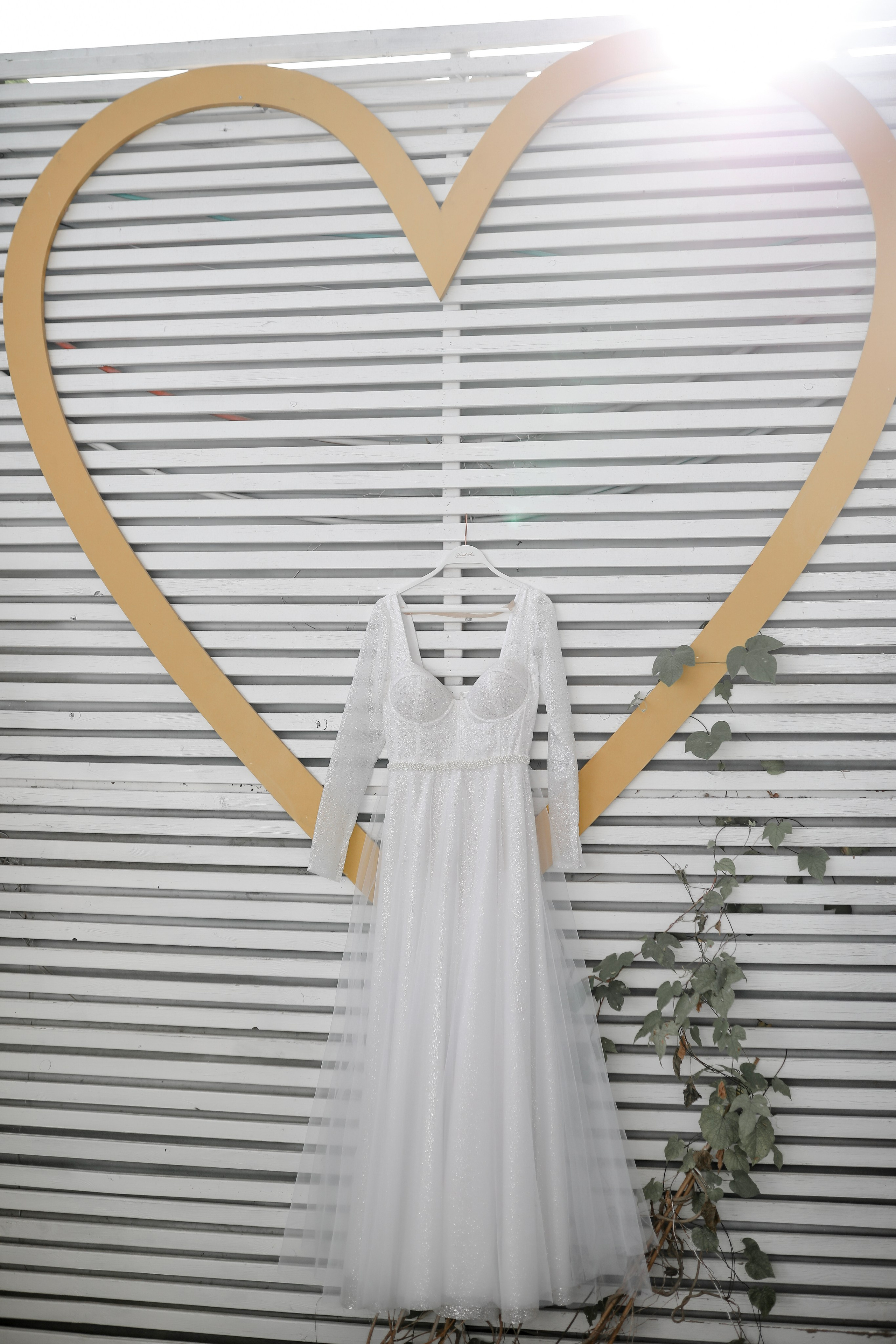 Rings & Dress. Daniel Danilov