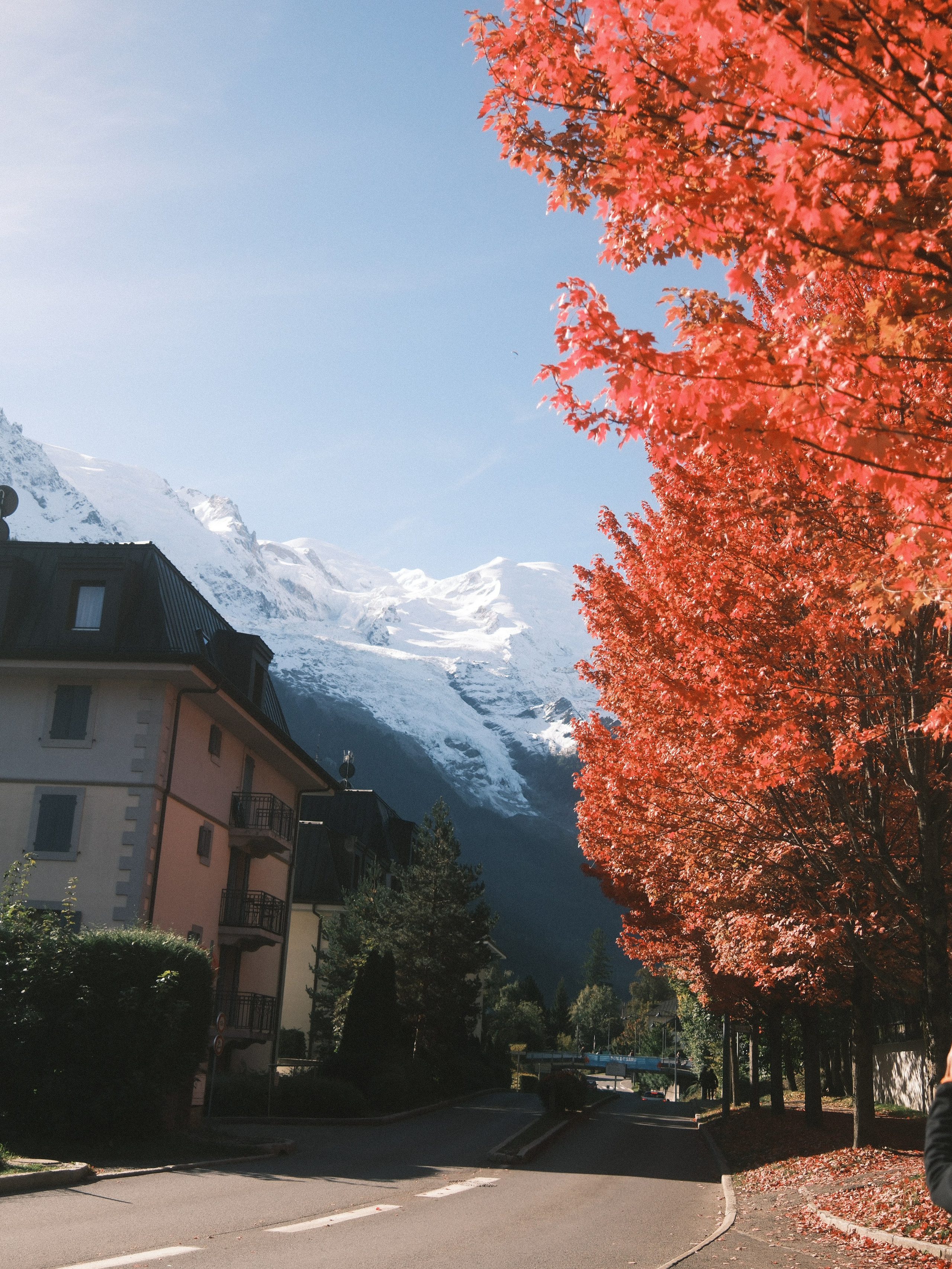 Ice Climbing Chamonix. Patricia Morenci — Mountain Adventures for the Wild at Heart