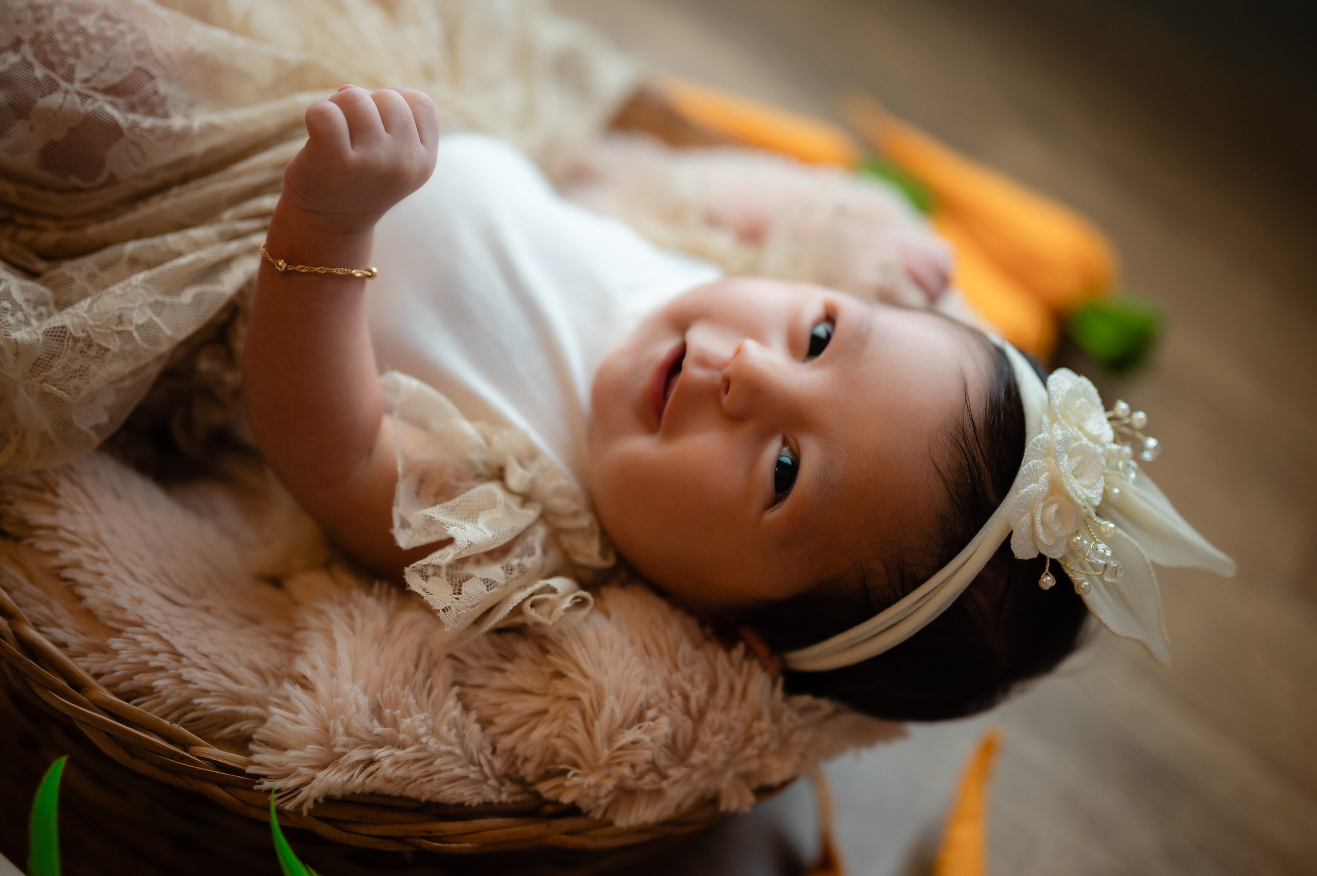 Acompanhamentos. Fotografamos famílias, gestantes, bebês e ensaios individuais