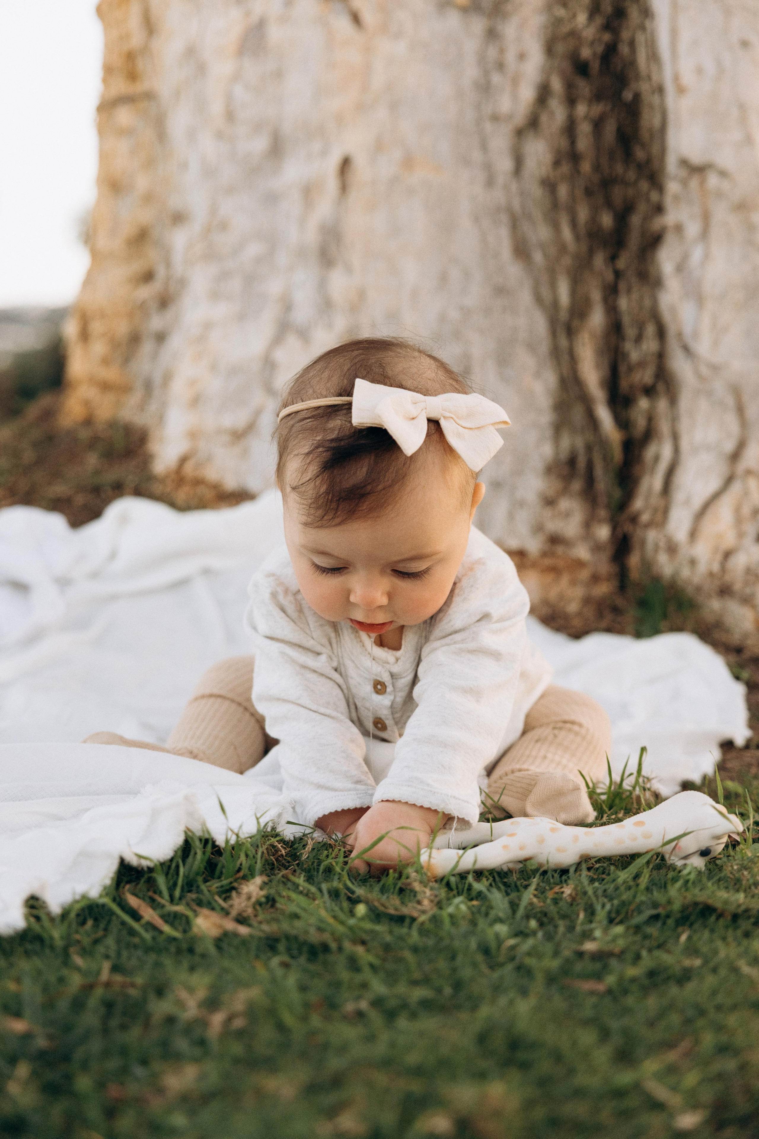 *. Wedding and family photographer San Diego