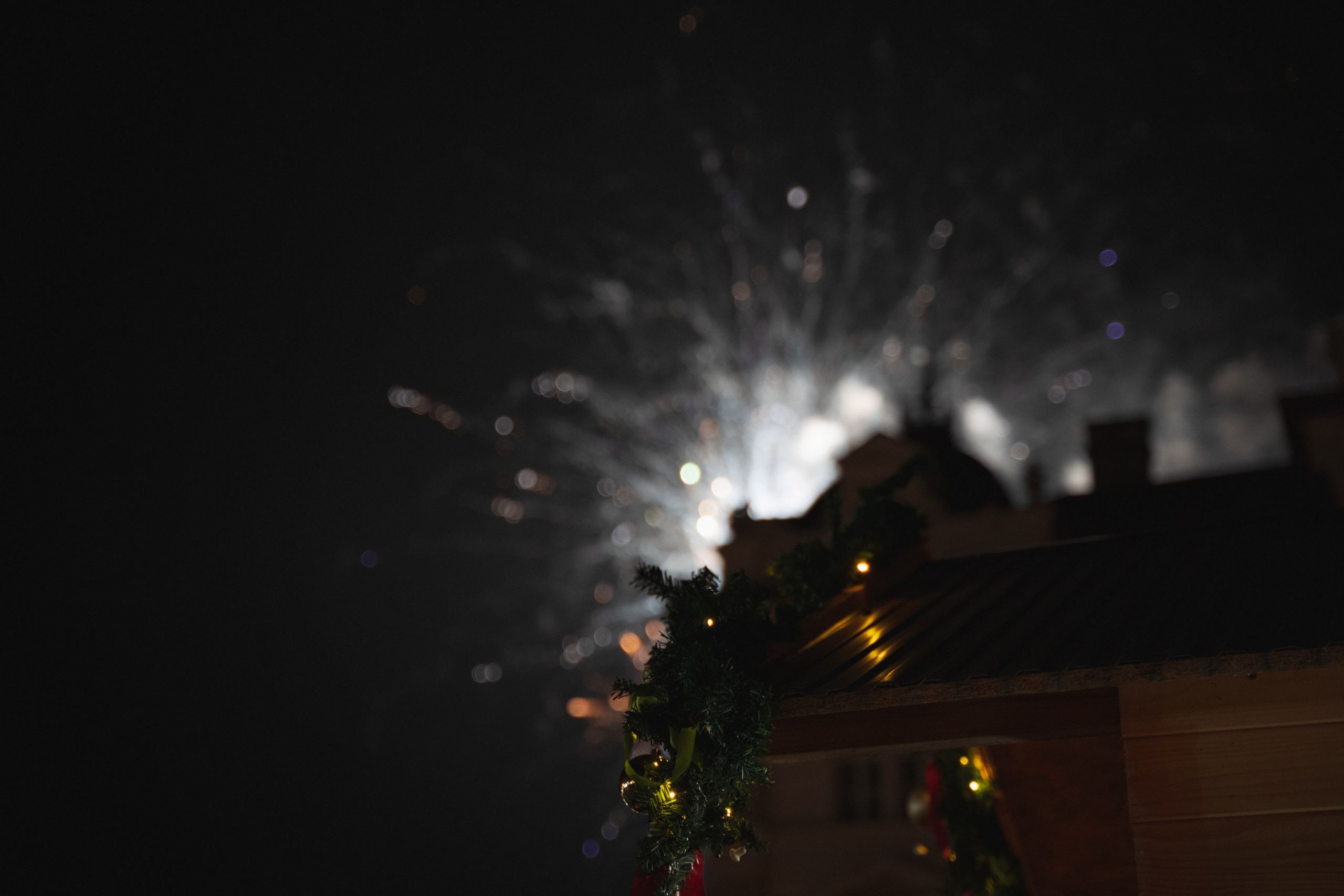 Novosadski Zimzolend. Жуков Студио