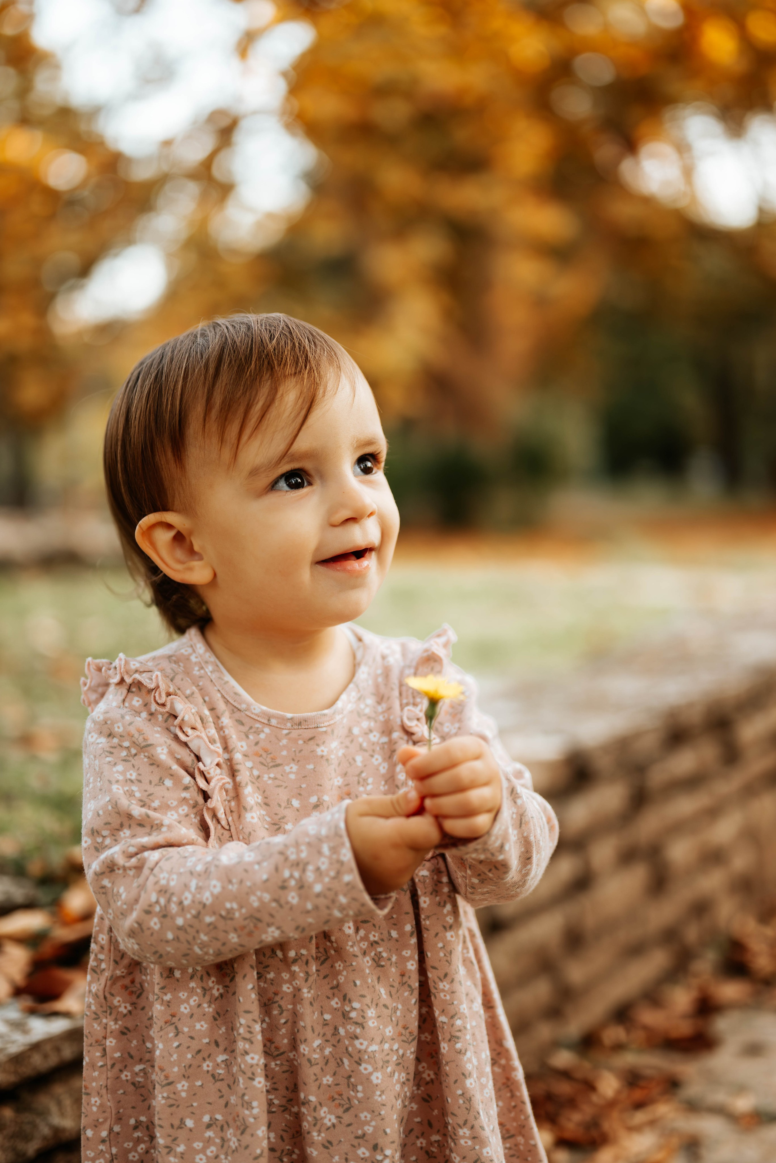 Gordana, Milan i Magdalena - porodično fotografisanje. Dečiji i porodični fotograf