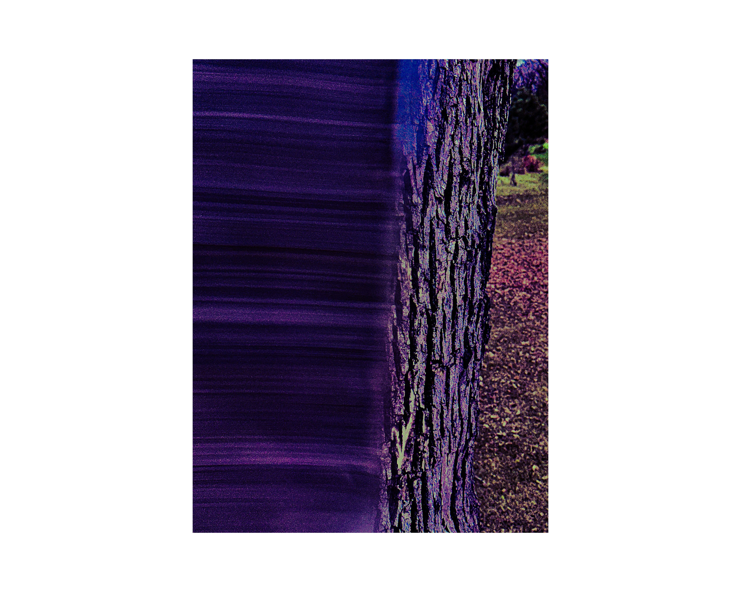 Nature from Exaggerated Worlds. Ekaterina Tsurkina-Appina Photography Canada