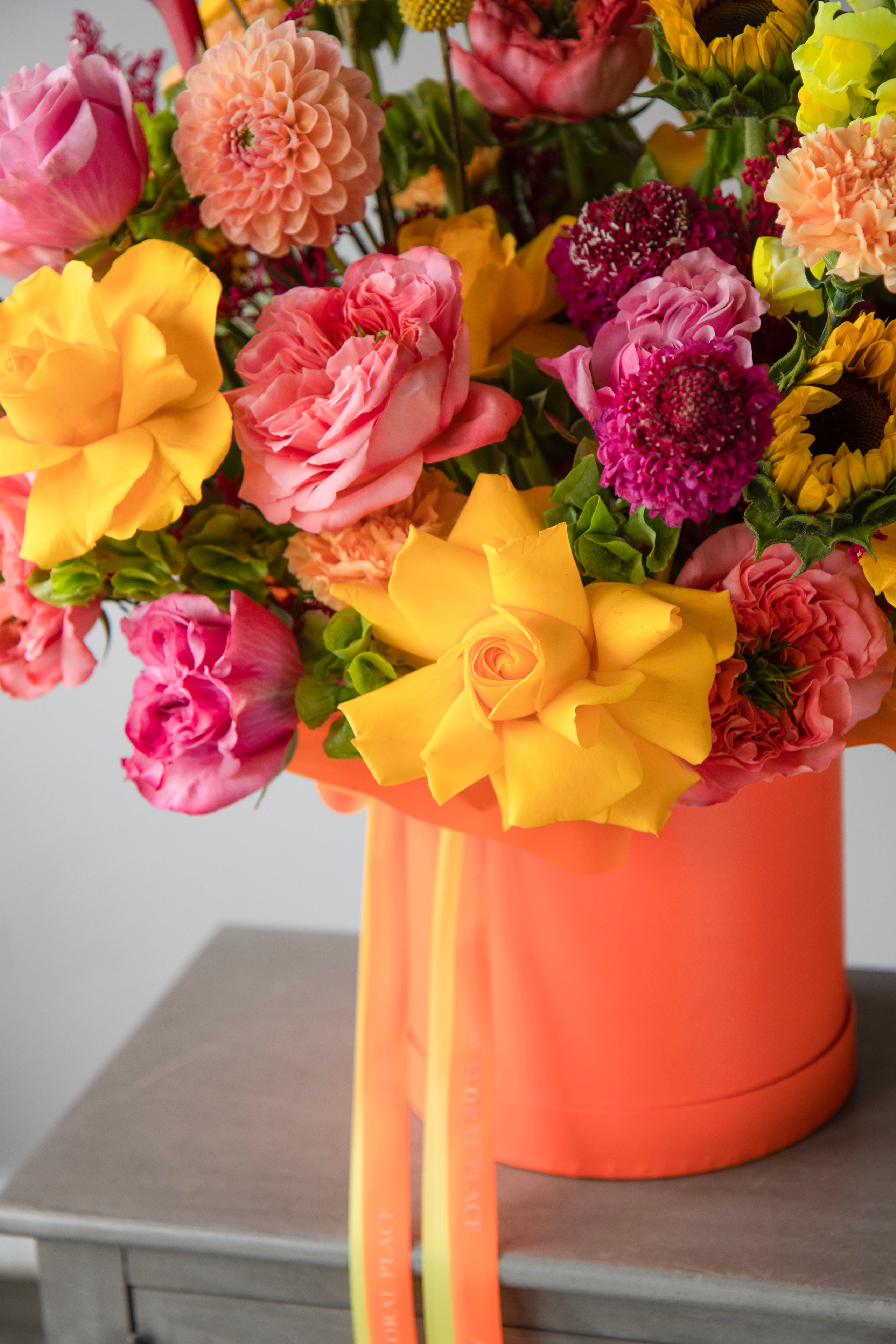 043. Palagina Ksusha, photographer in NY