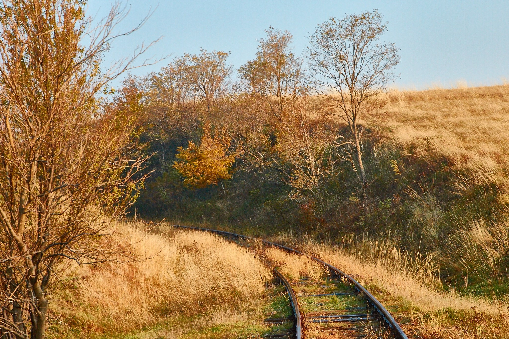 Toamna pe calea ferată Oravița-Anina, jud. Caraș-Severin. Pagina principală