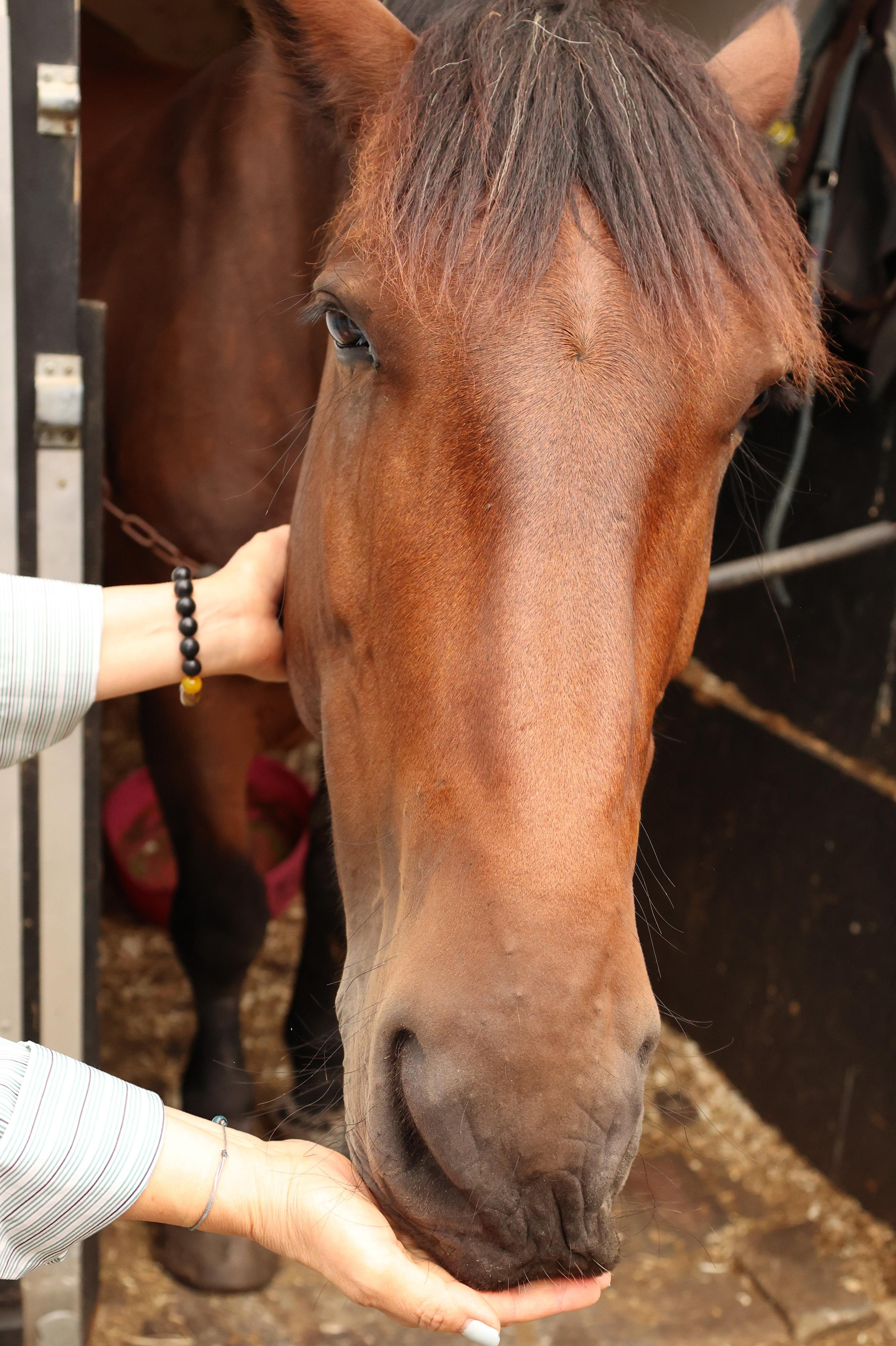 Charity ride Anna. Couples and portraits photographer Wimbledon London