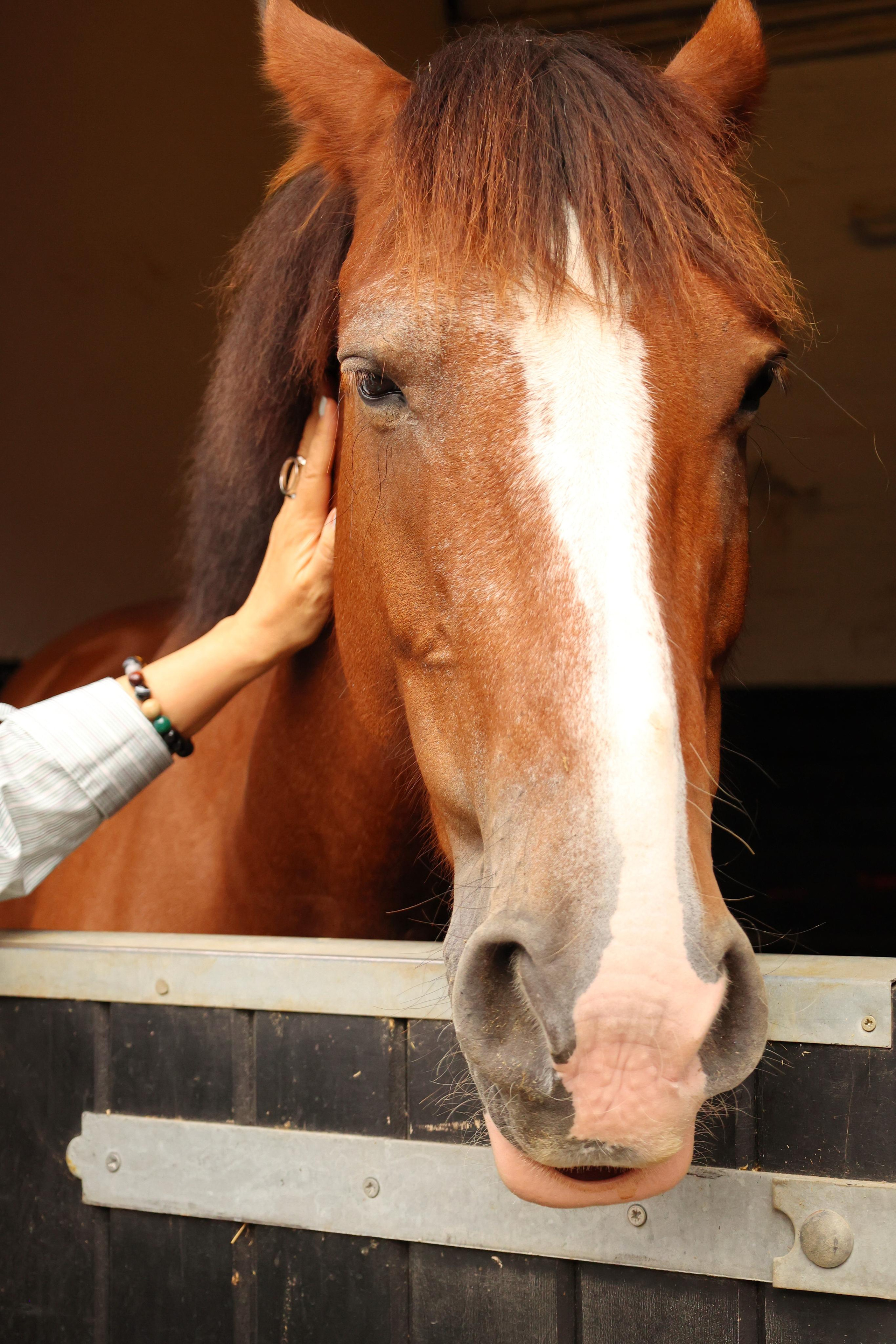 Charity ride Anna. Couples and portraits photographer Wimbledon London