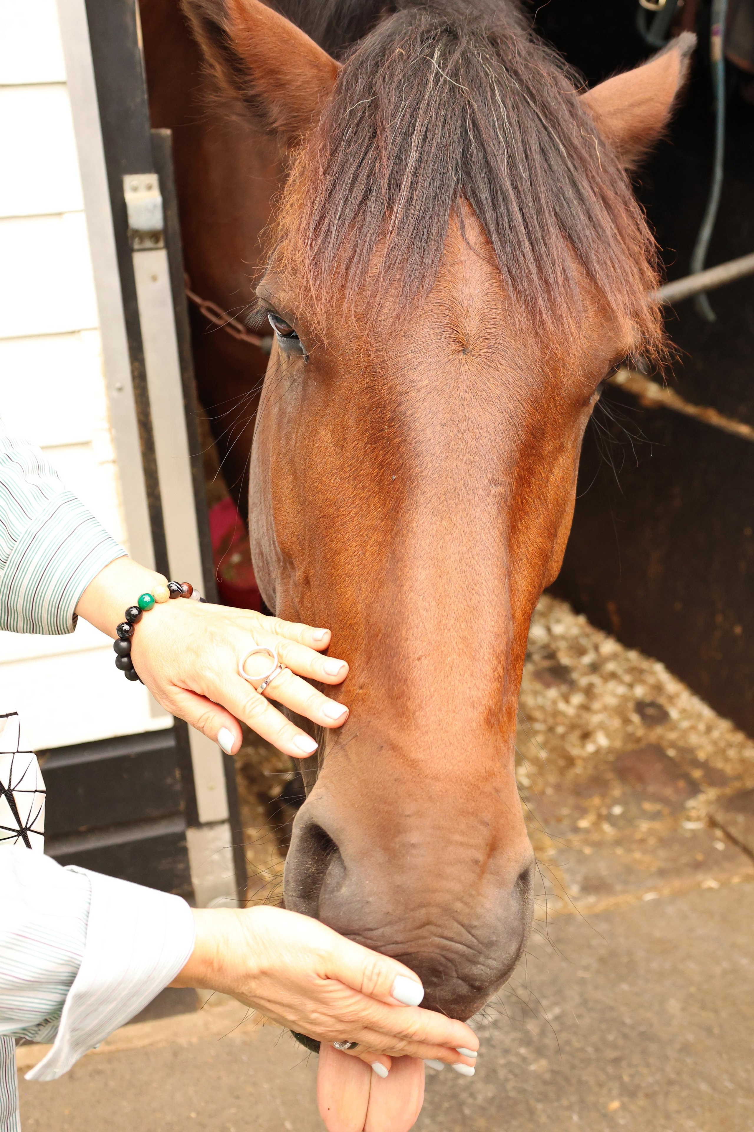 Charity ride Anna. Couples and portraits photographer Wimbledon London