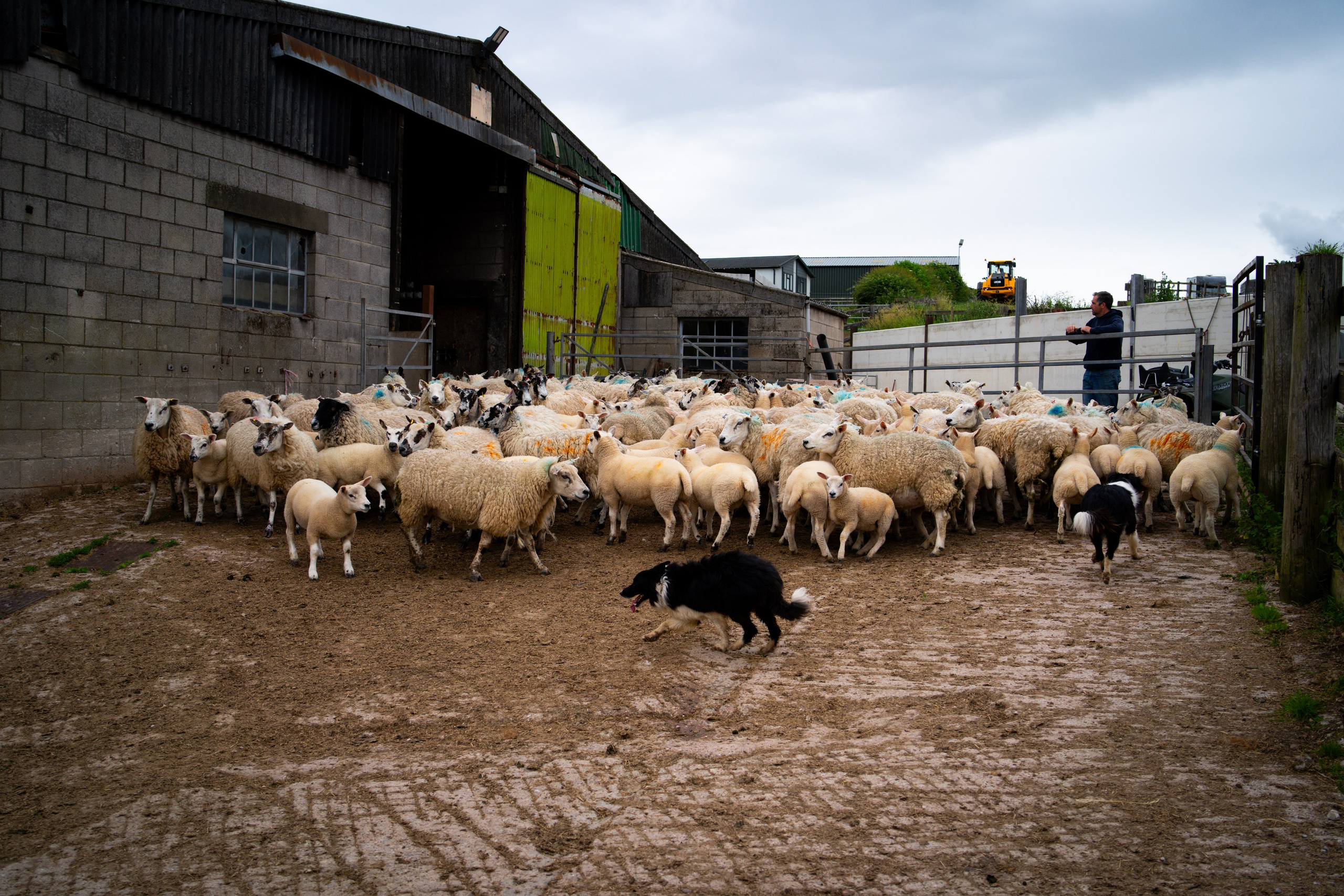 Farm Life. Ryan Hewitt Photographer