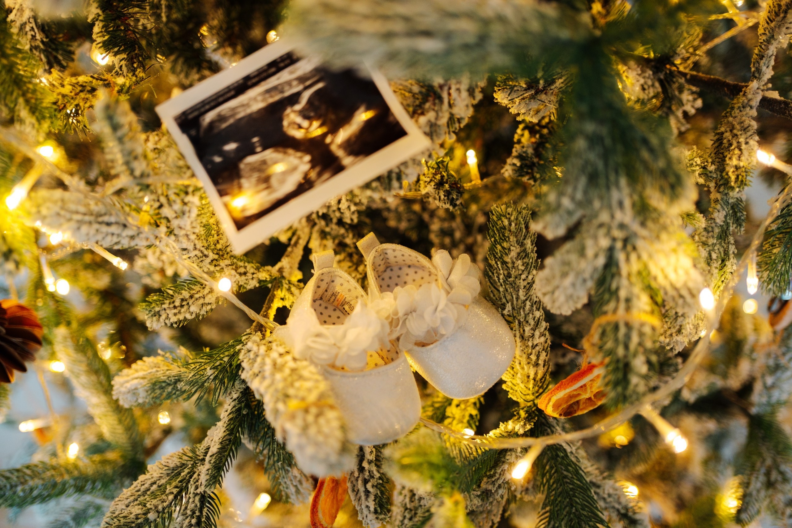 Christmas Photoshoot Andreea si Talo. Cimpoes Ionut FOTOGRAF