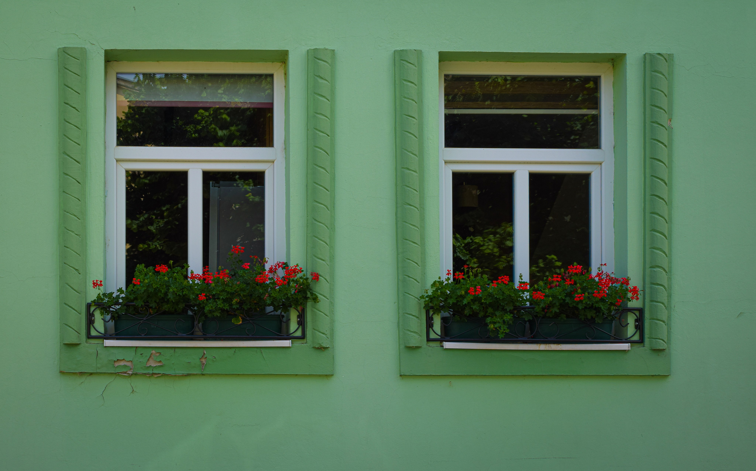 Петроварадин - галерија на продају. Викторија Федосеенко, фотограф у Србији