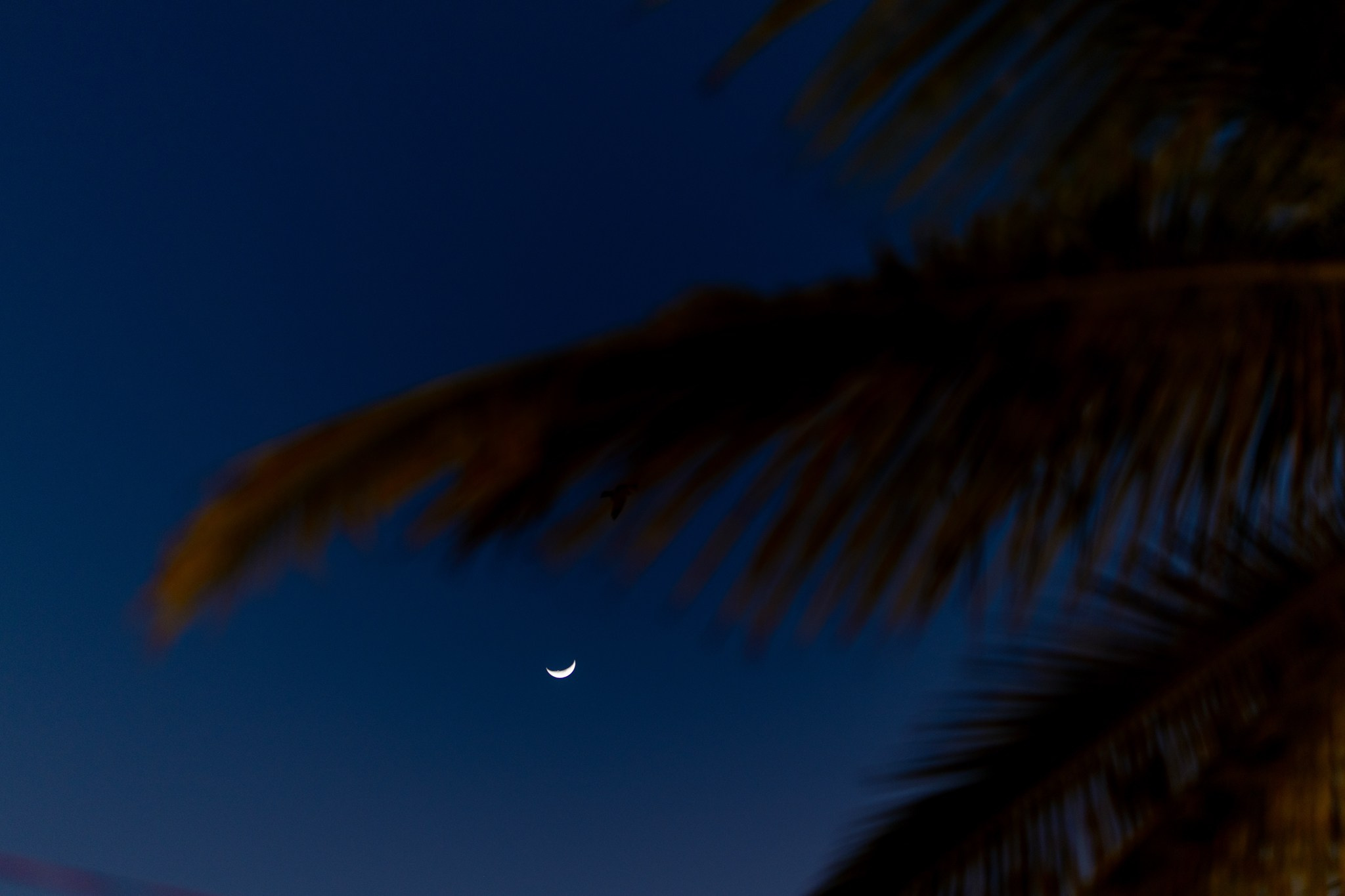 Swapnil and Joylen. Joel Fernandes — Candid wedding photographer