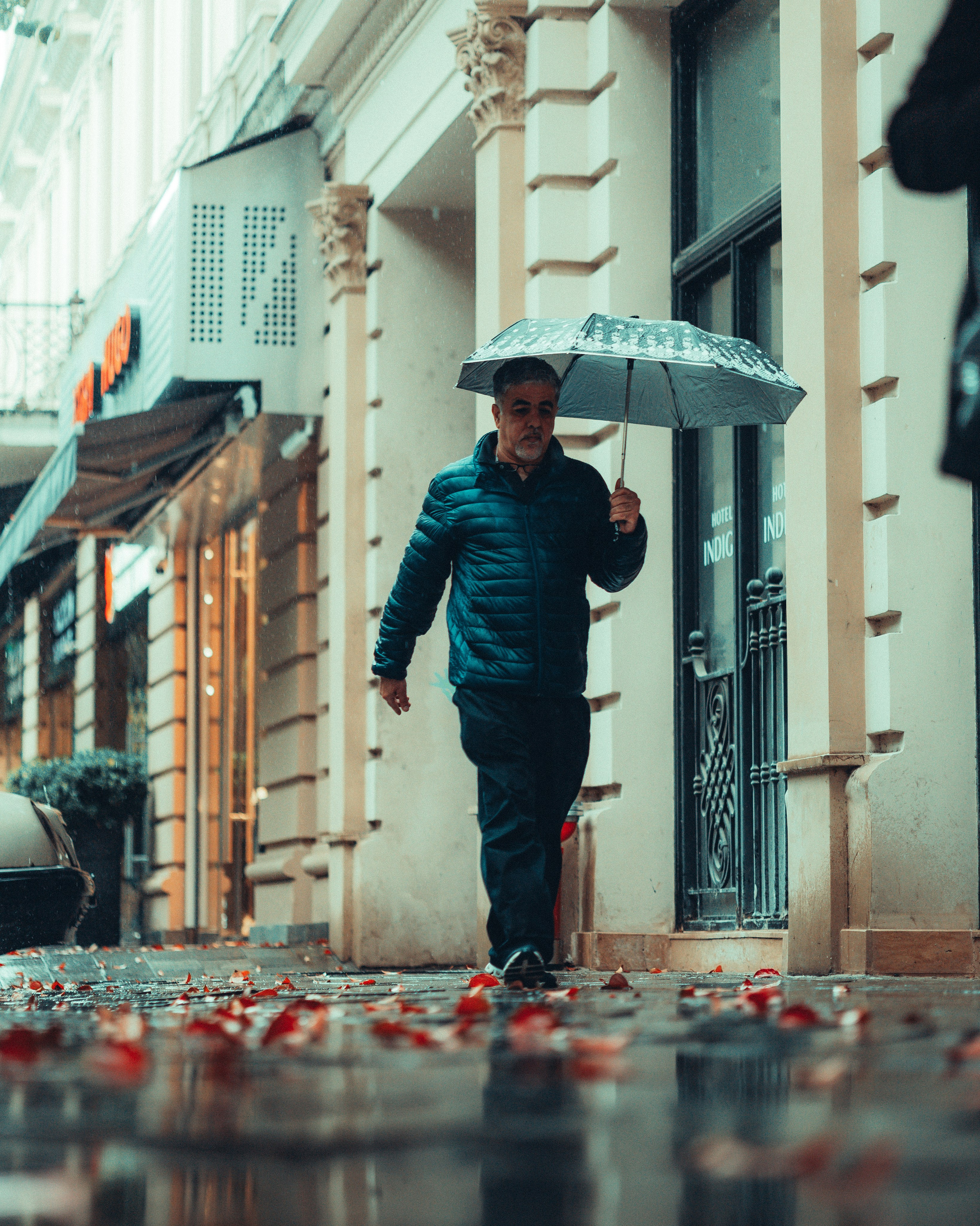 B A T U M I 2 0 2 5. Bspander