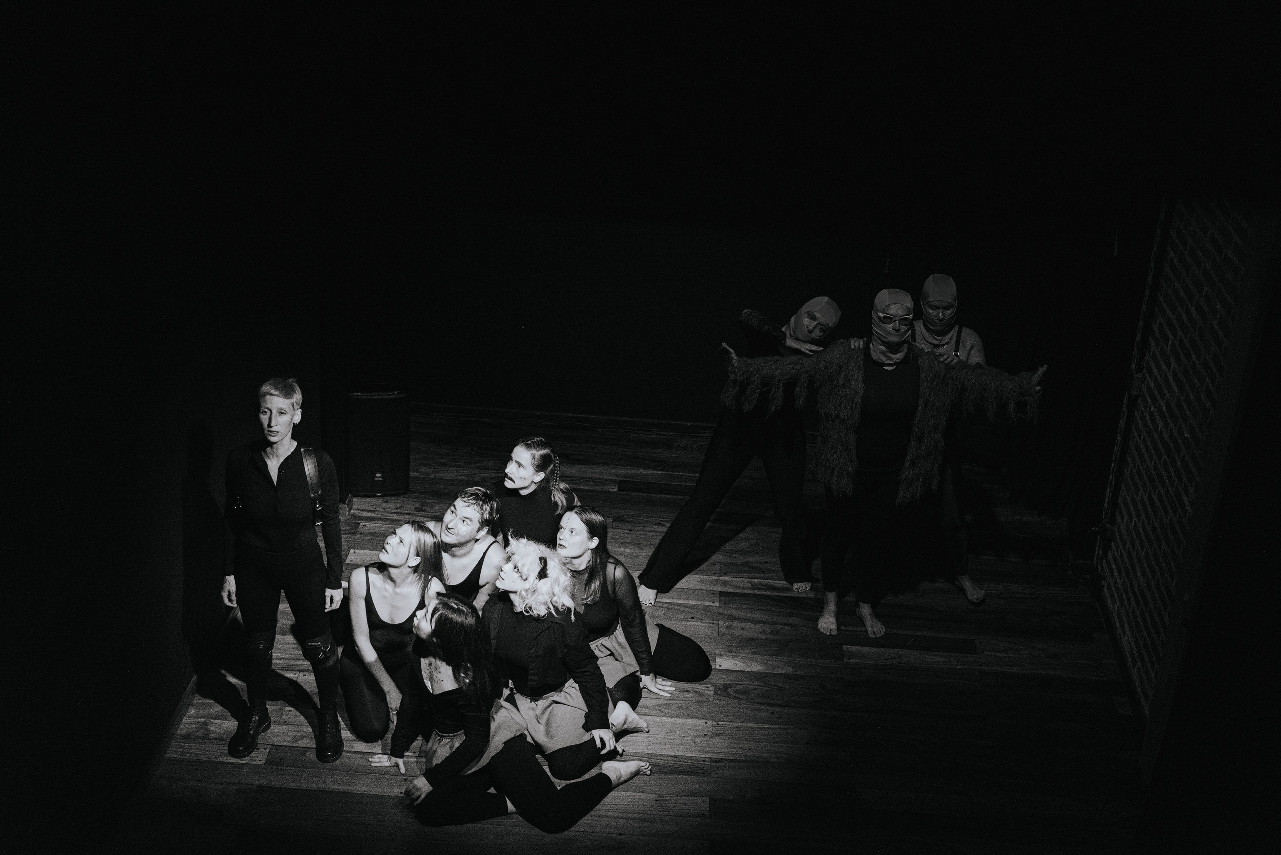 Анонс. Полковник и птицы. Фотограф @elmirkami в городе Буэнос-Айрес