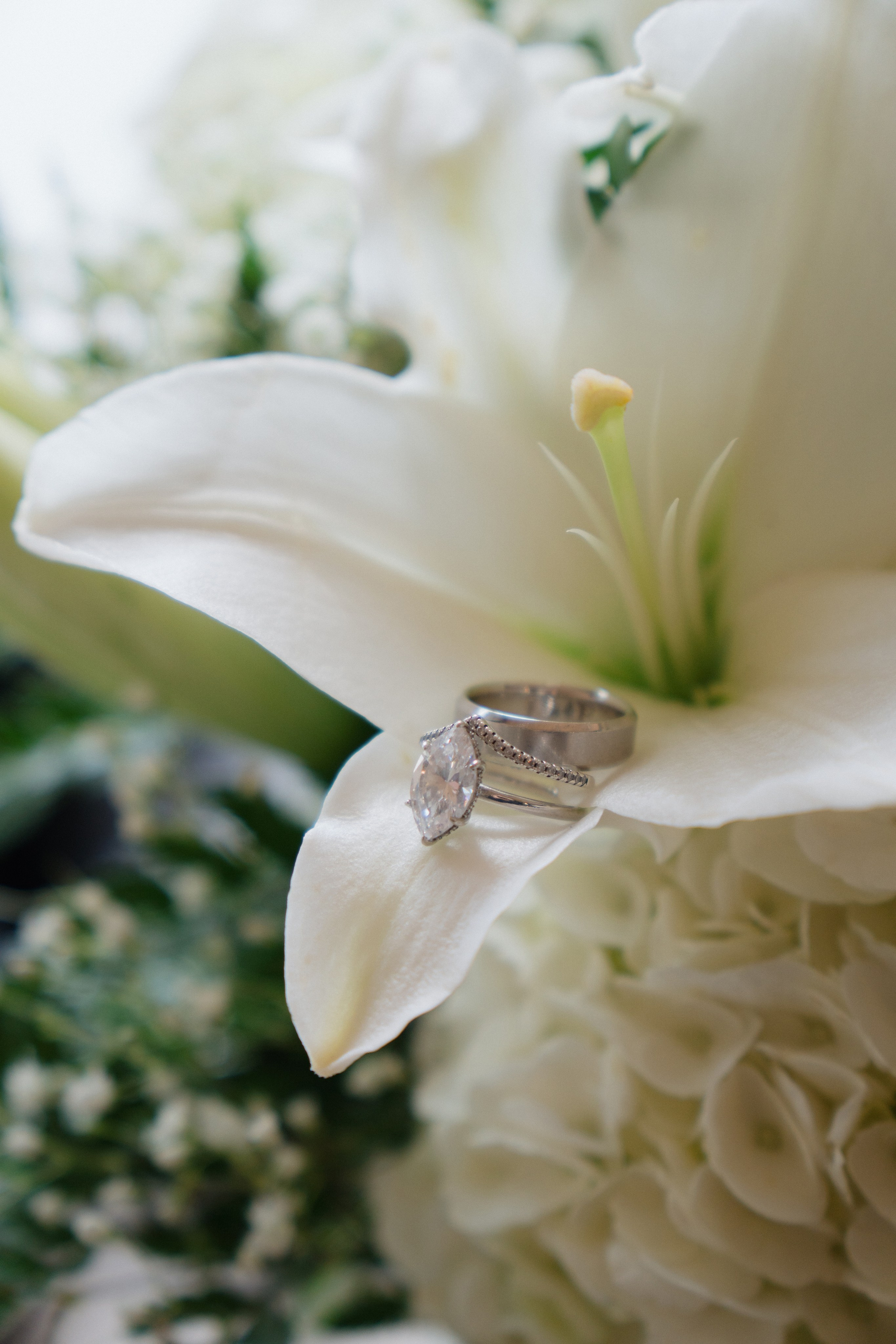 Guilianna and Jay | Intimate Wedding. Photographer in Washington Sophia D