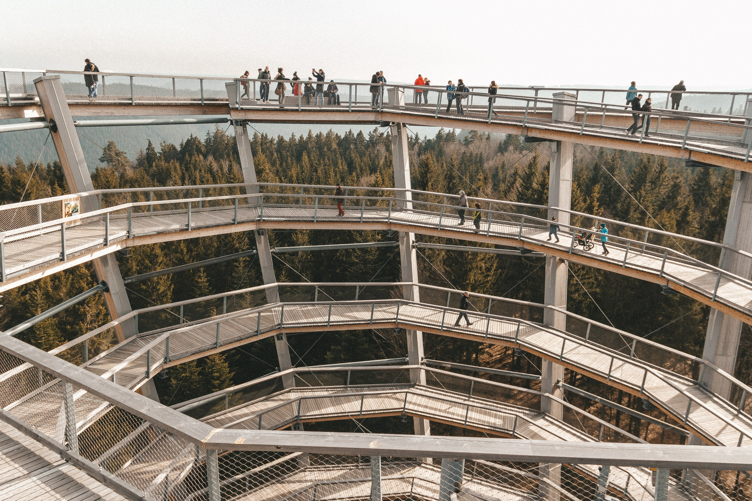 Baumwipfelpfad in Bad Wildbad. Maria Chistyakovа — Fotografin in Karlsruhe, Baden-Baden und Umgebung