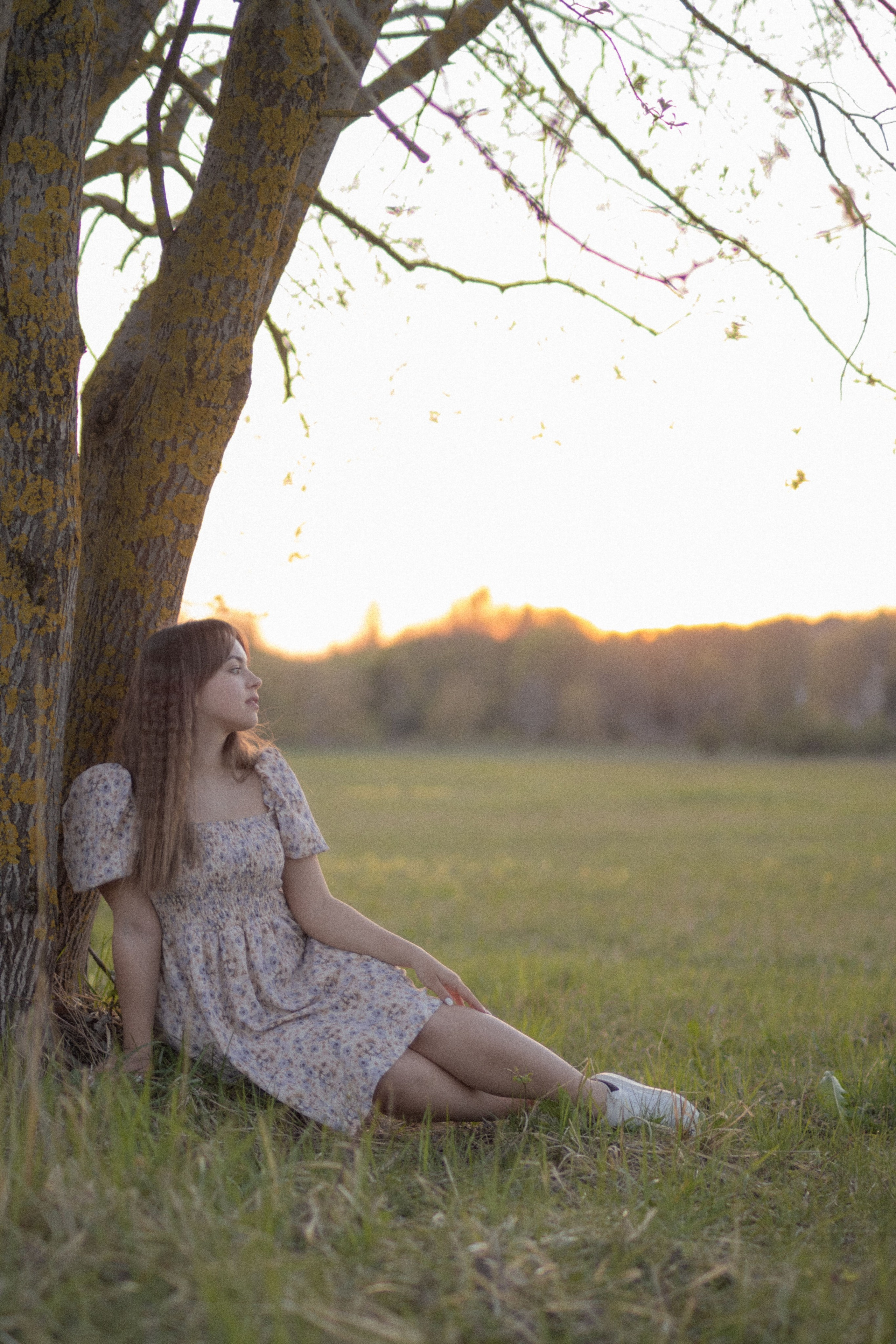 Violeta. Emily Photography