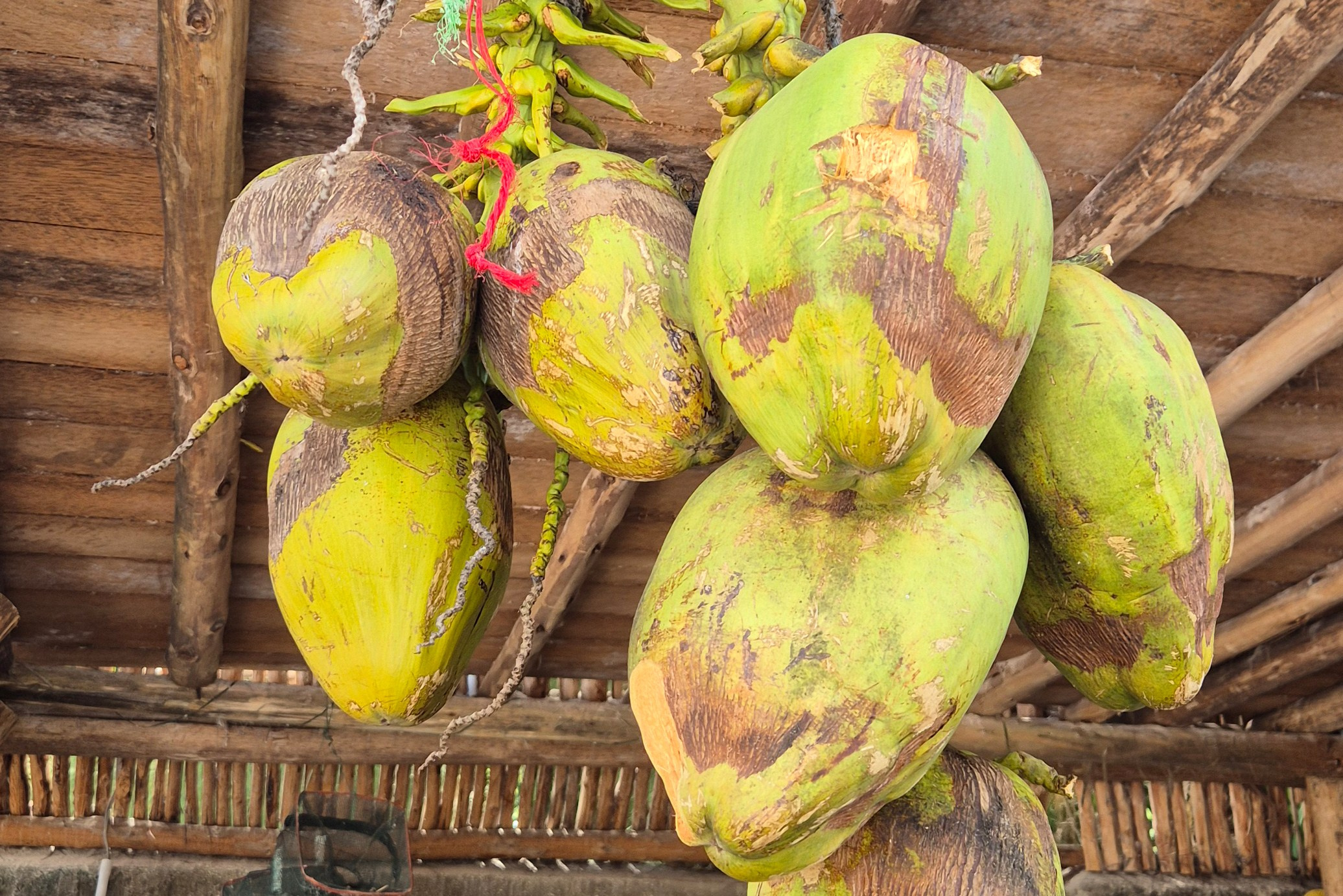 Занзибар. Elina Reisen. Туристическое агентство в Аугсбурге