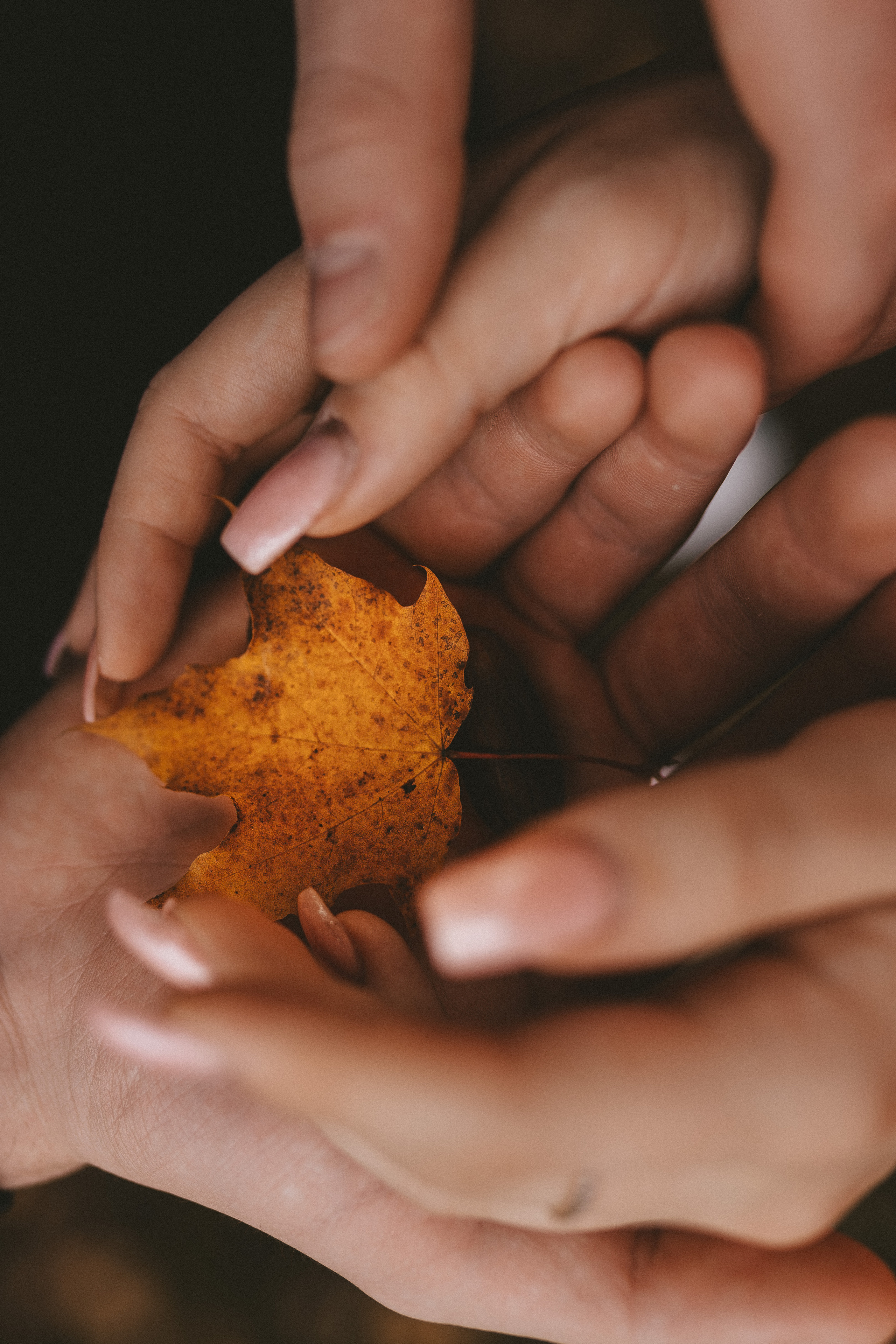 Herbst. Fotograf aus Künzelsau. Kinder- und Familienfoto-Sessions