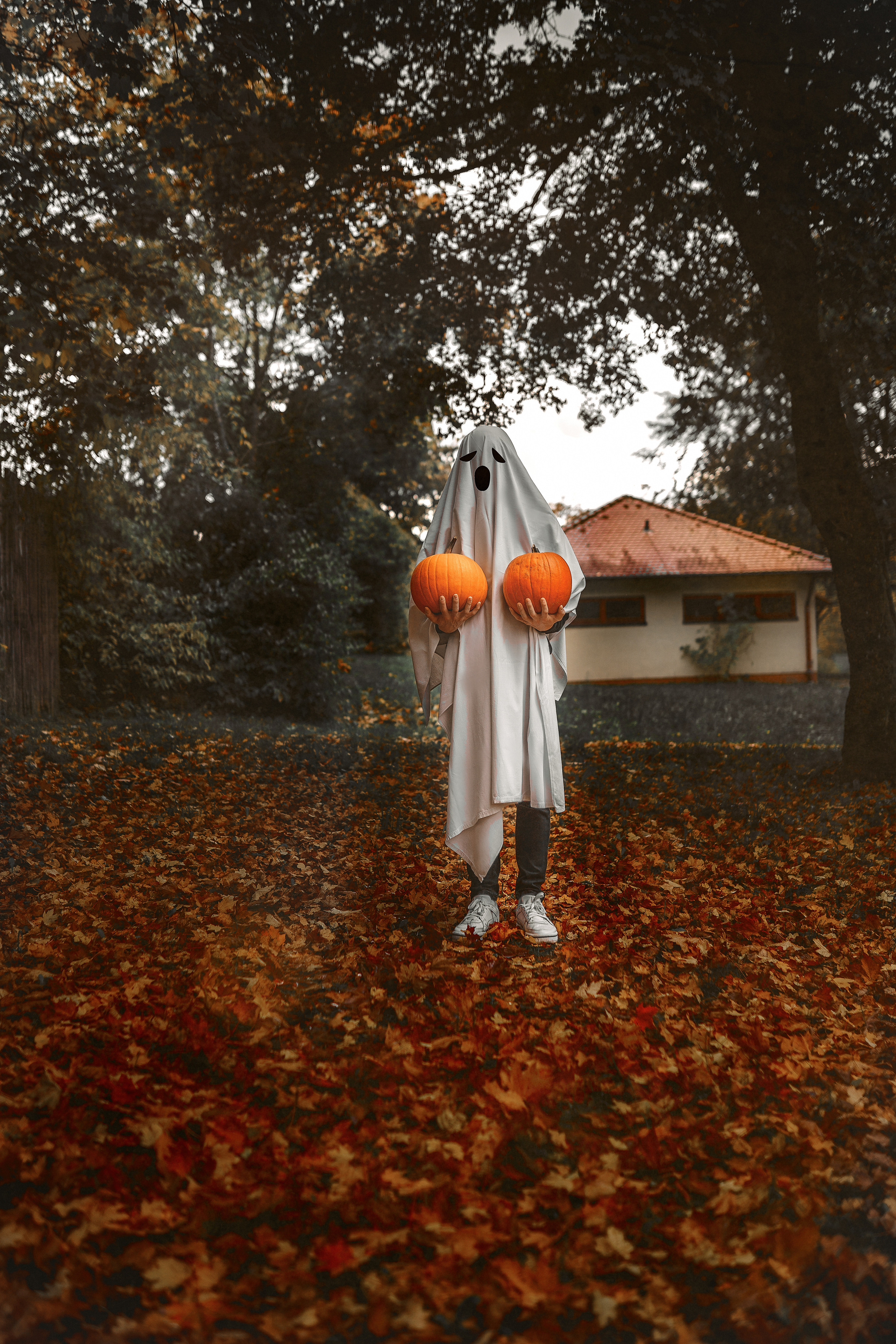 Herbst. Fotograf aus Künzelsau. Kinder- und Familienfoto-Sessions