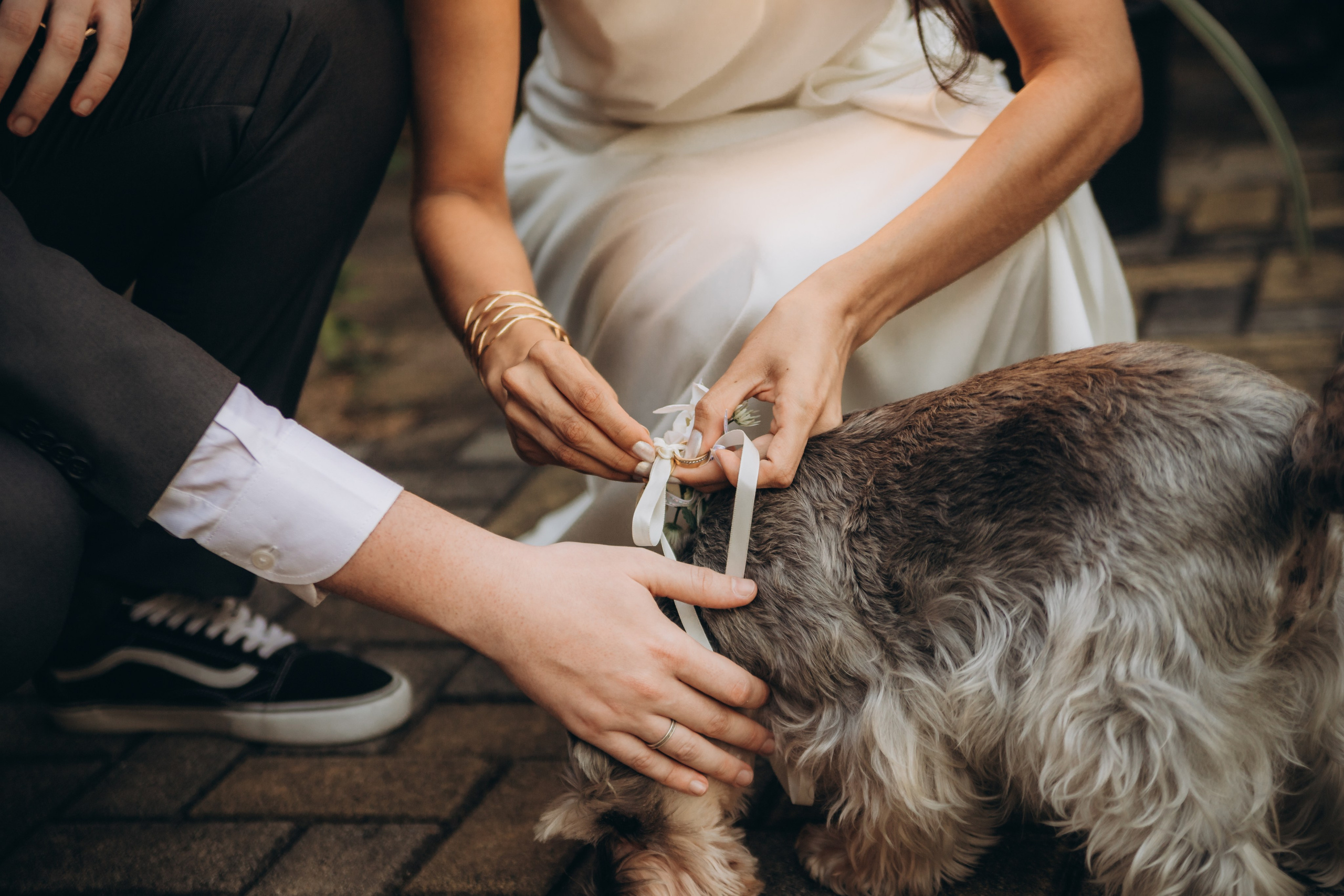 Casamento — Felipe & Ananda. Fotógrafo de Casamentos, Eventos e Ensaios em Ribeirão Preto e região — Thiago Saletti