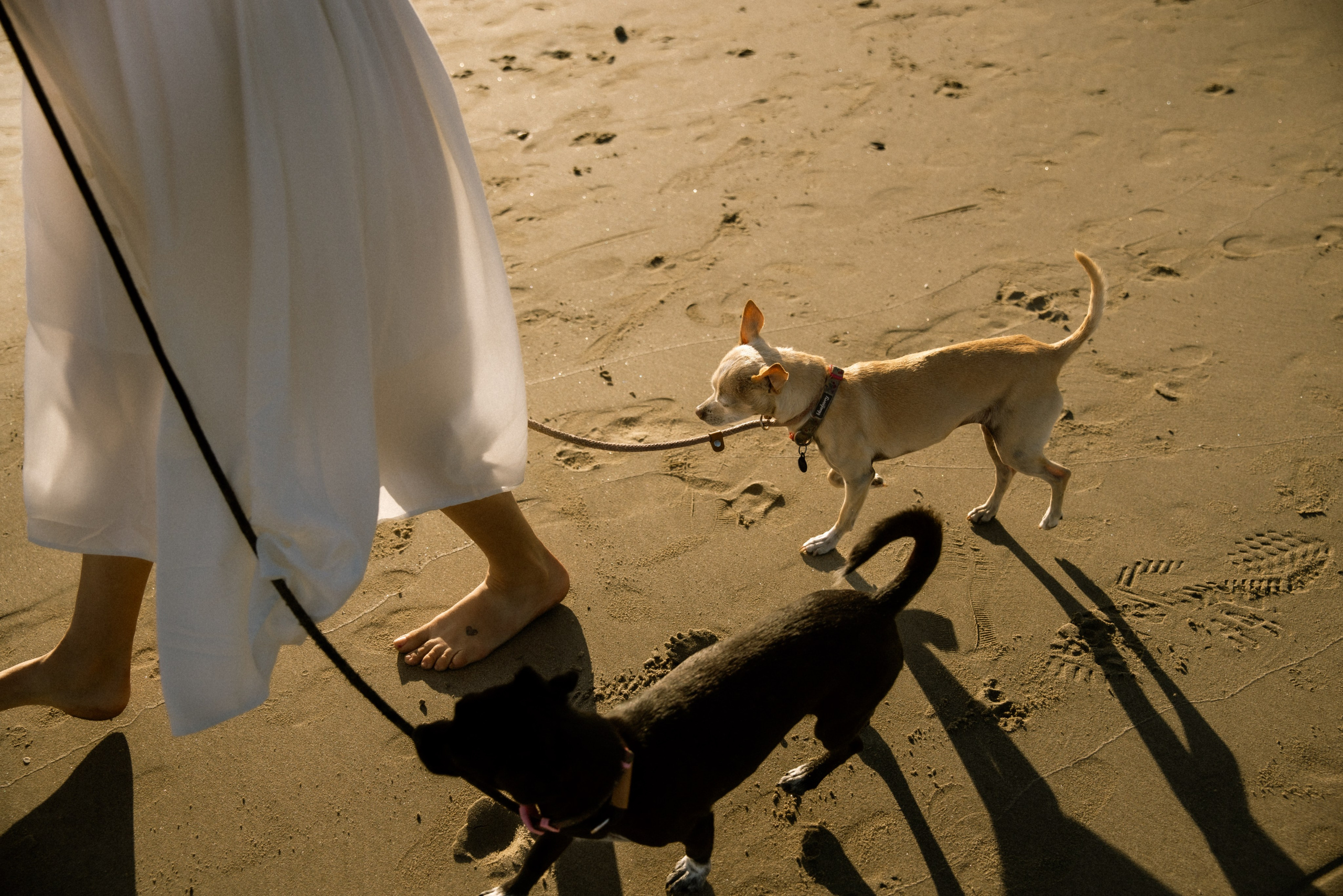 Gillian, Baby & Delilah | Venice Beach. Photographer in Los Angeles. Julia Ishmuratova