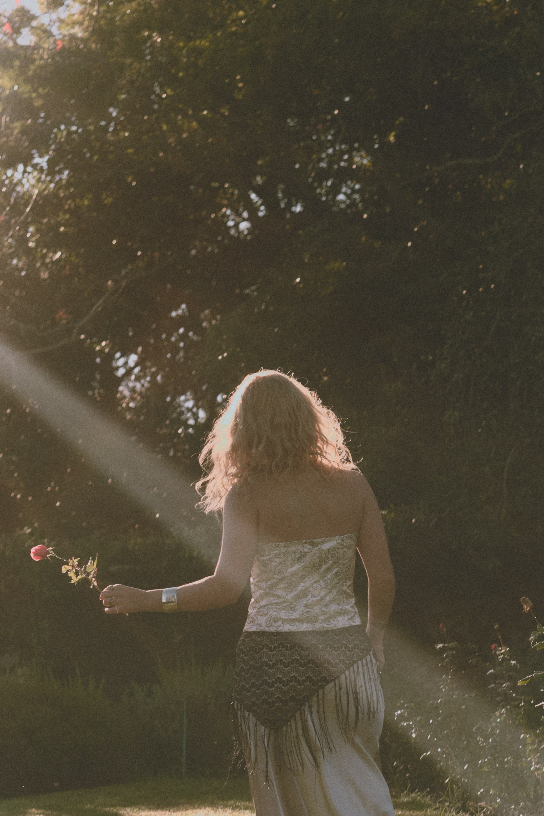A rose is a rose is a rose. Photographer Cape Town | фотограф Кейптаун
