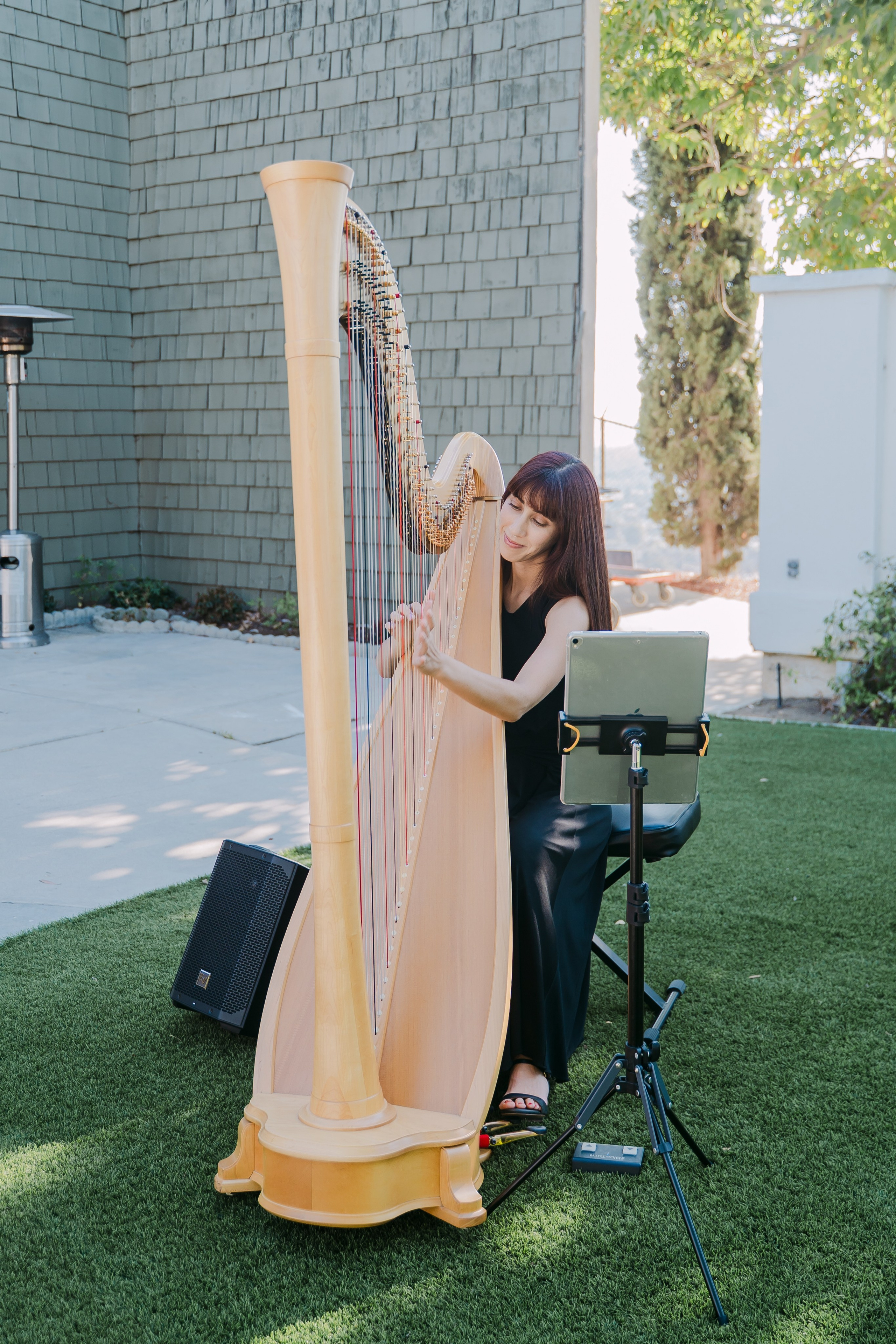 Jazzmin & Alan. Babich_weddings