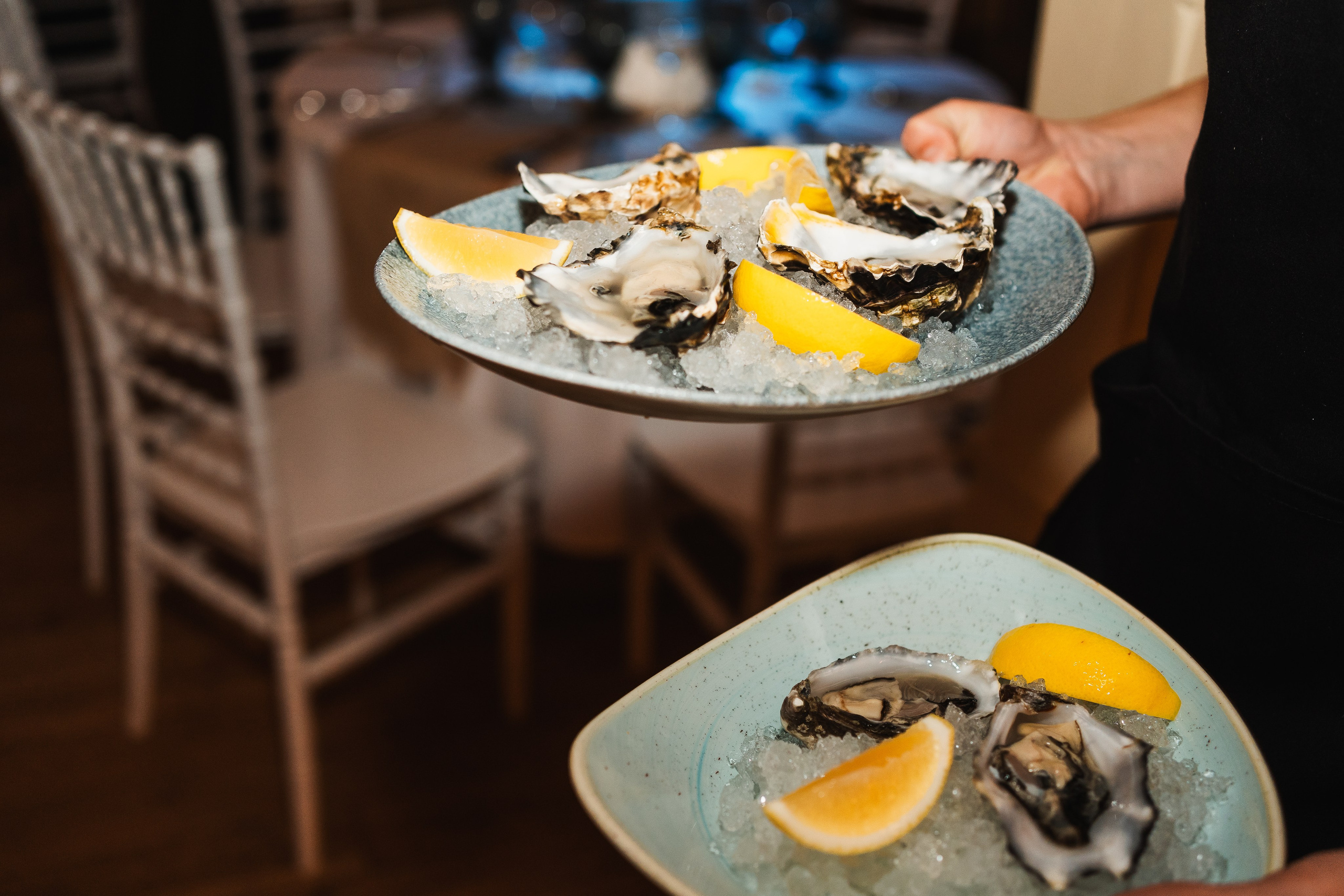 RESTAURANT. Montenegro photographer and videographer