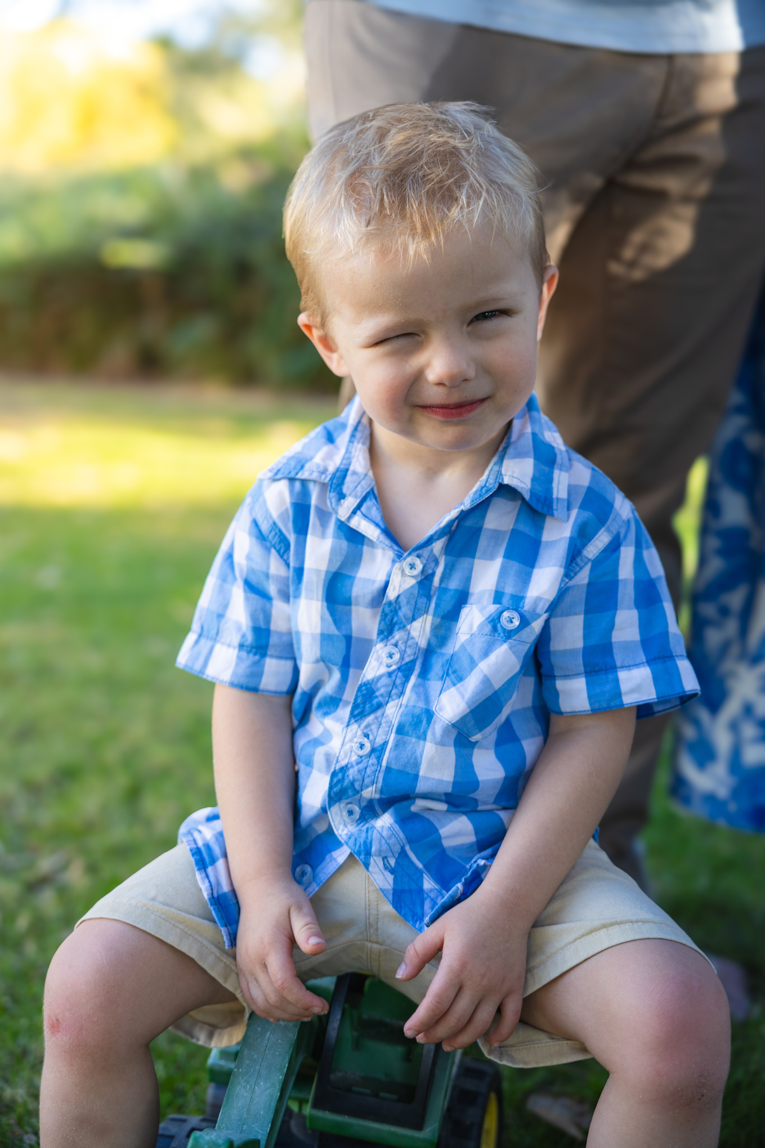 Photos from different family photoshoots